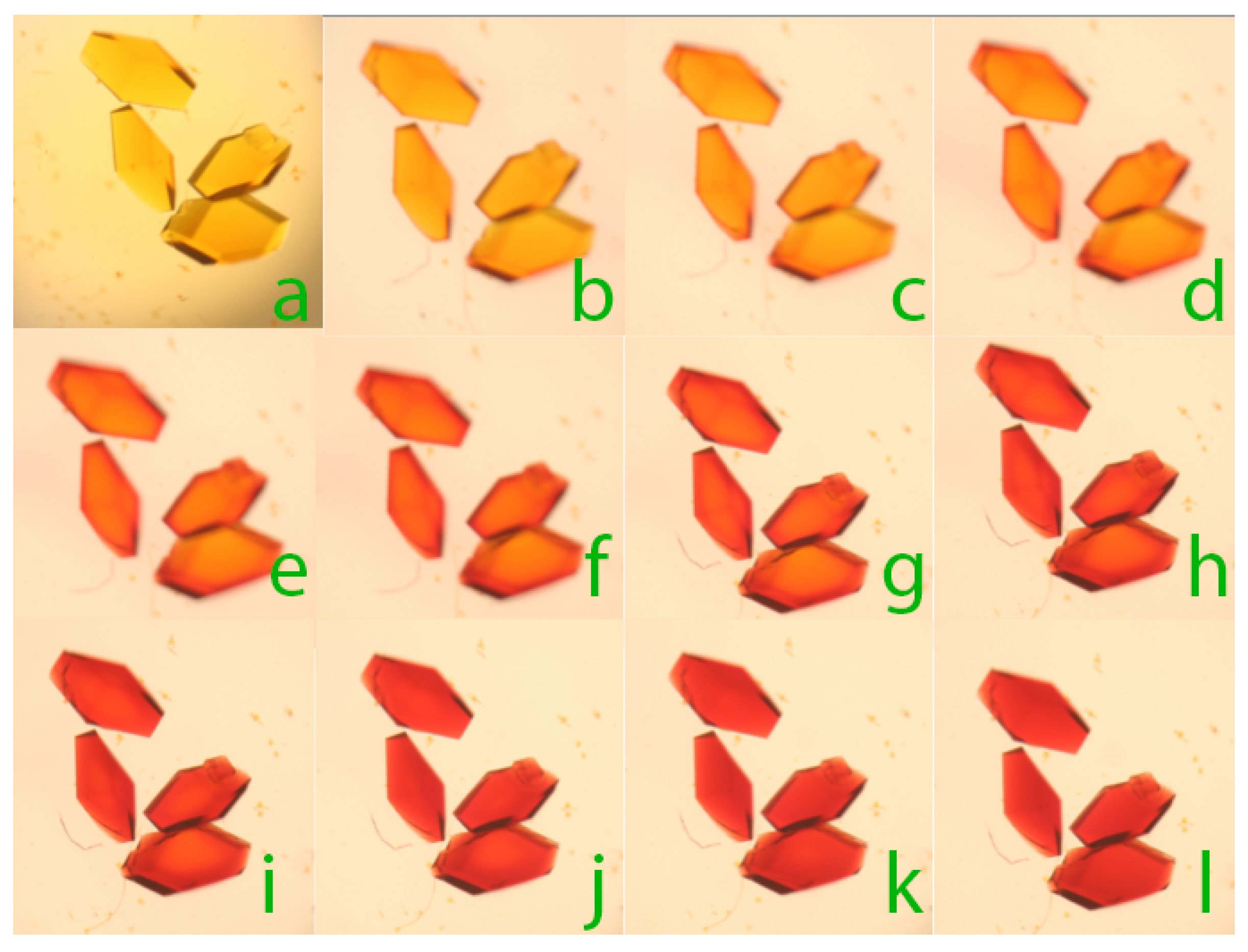 Crystals 09 00126 g004