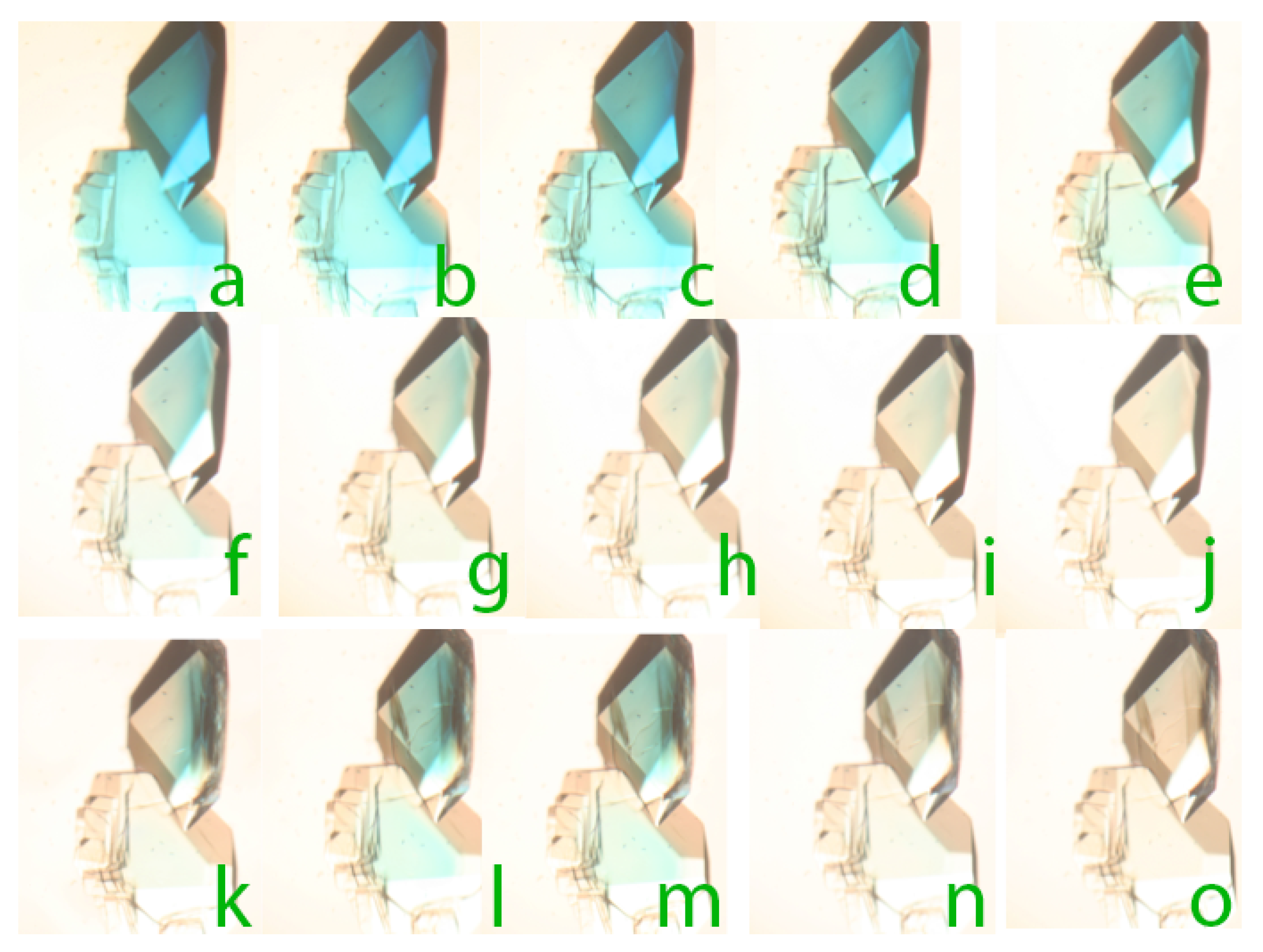 Crystals 09 00126 g007