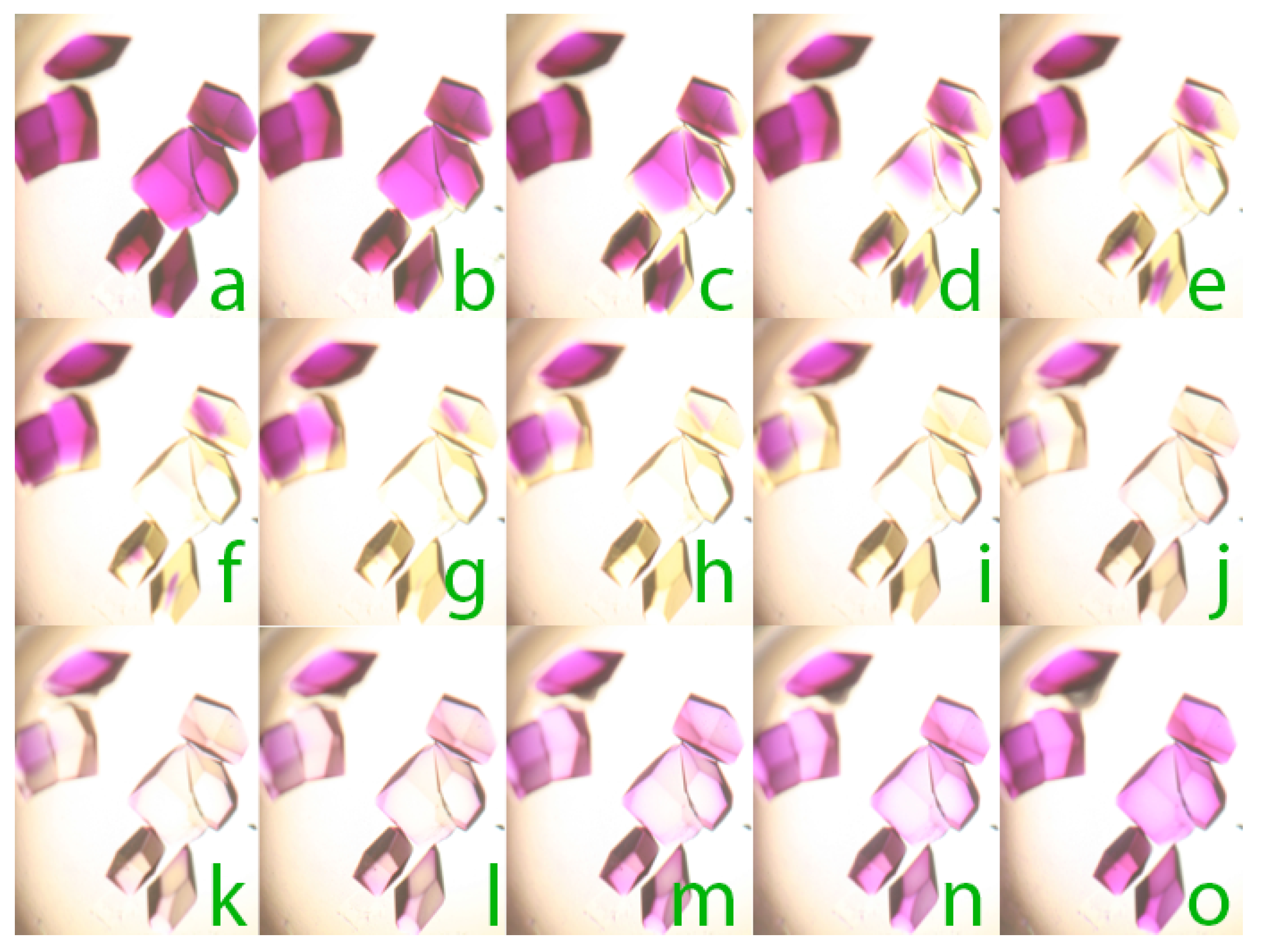 Crystals 09 00126 g008