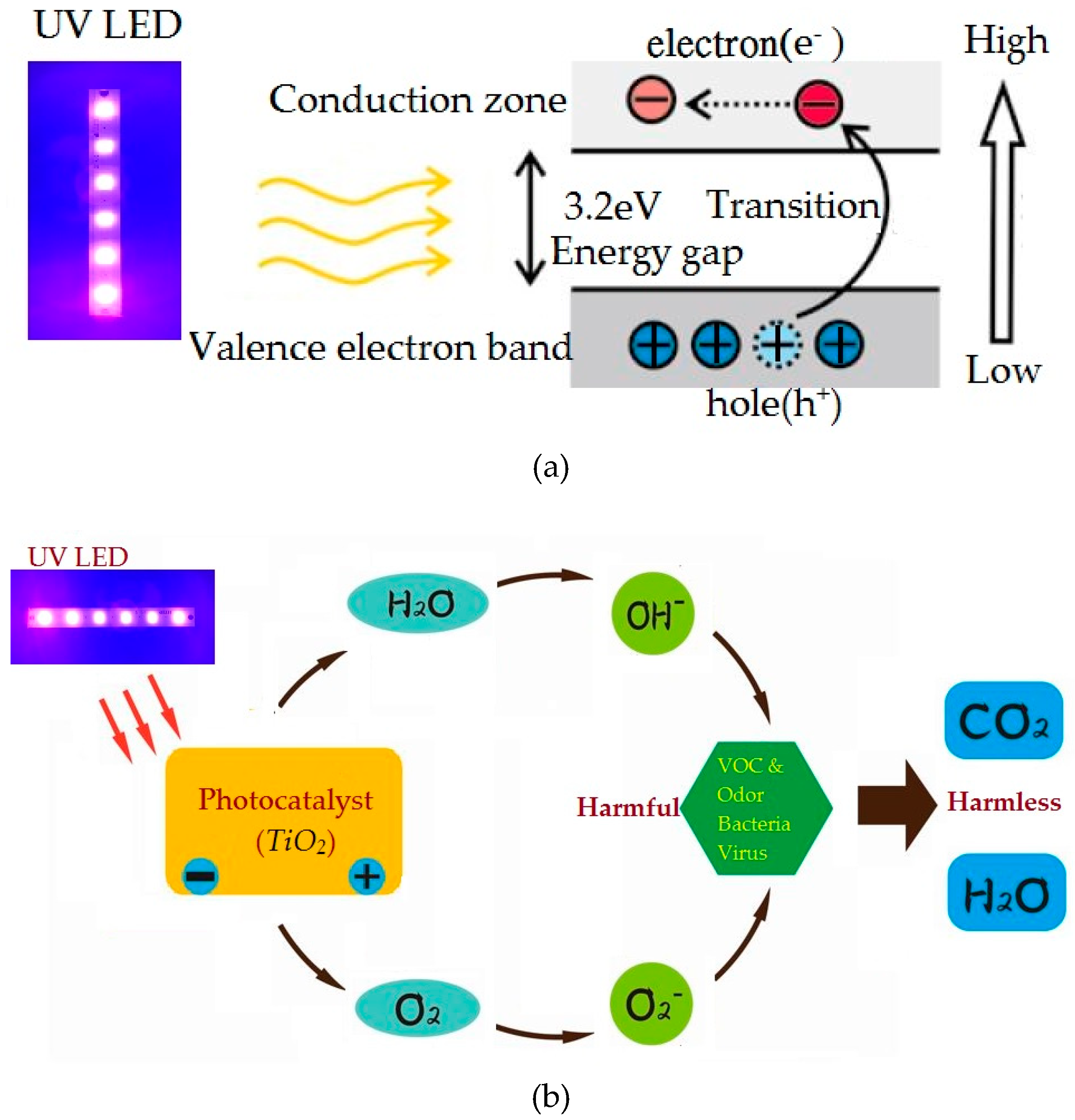 Crystals 09 00139 g005