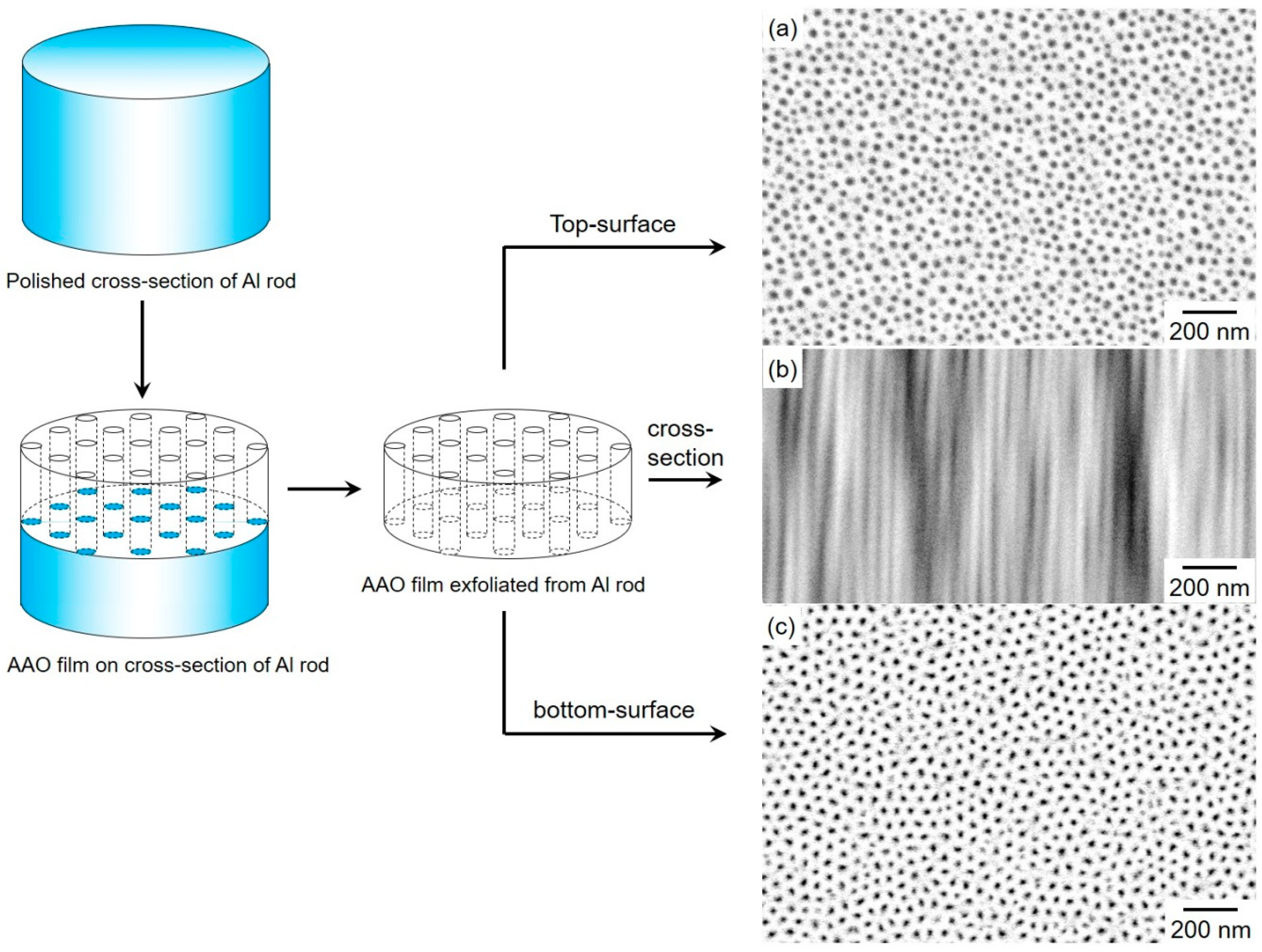 Crystals 09 00142 g003 Crystals 09 00142 g003