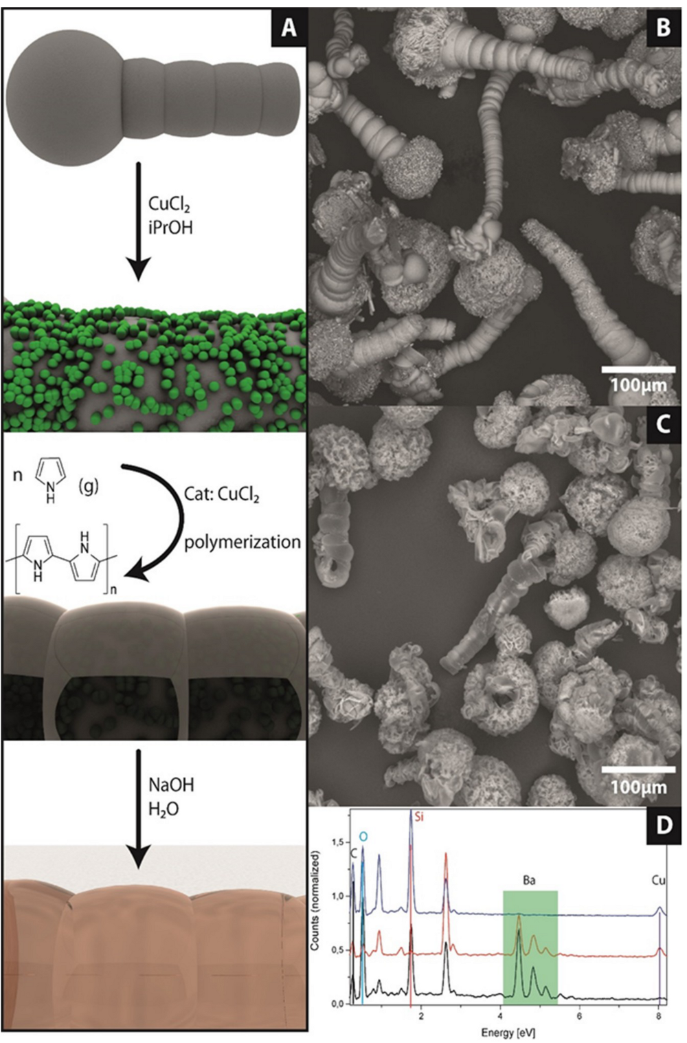 Crystals 09 00157 g003