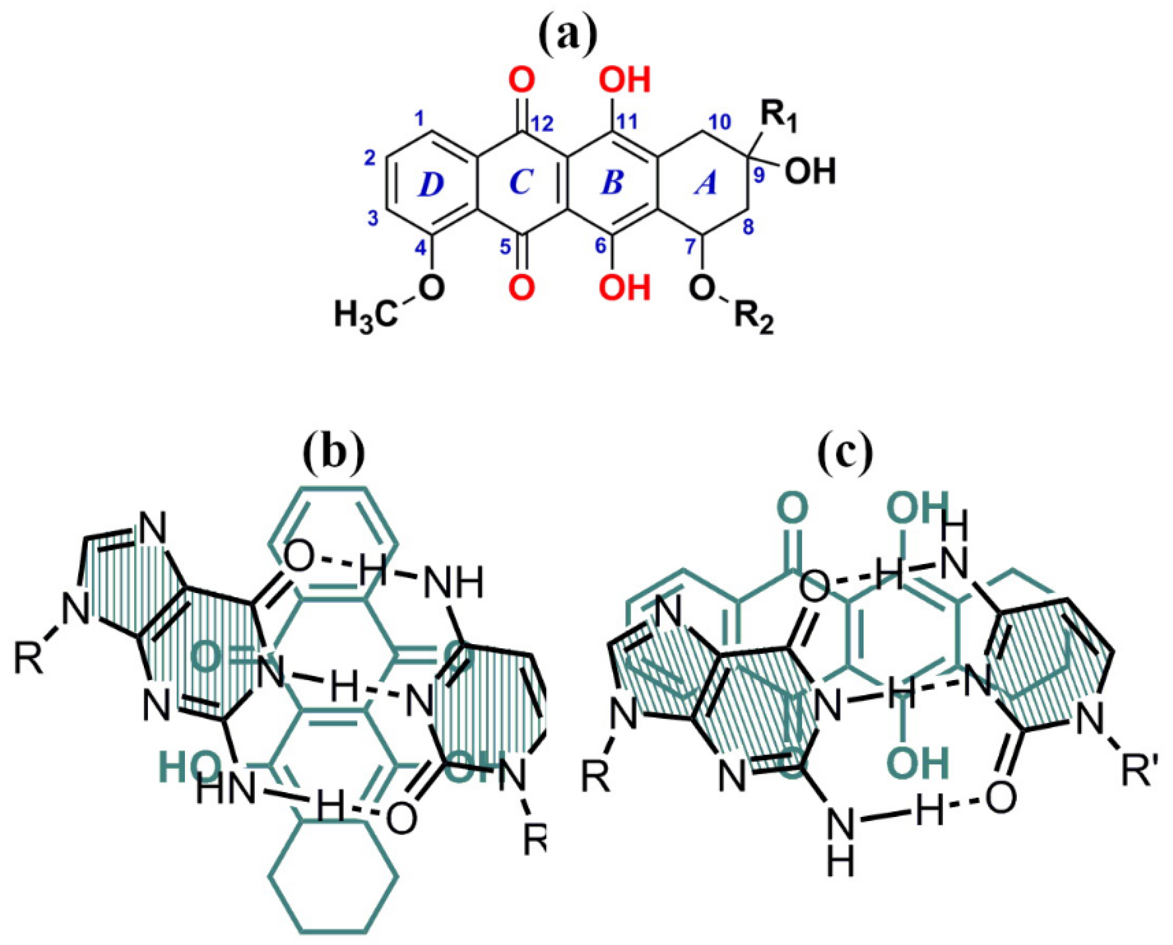 Crystals Free Full Text Liquid Crystalline Dispersions Of Double Stranded Dna Html Crystals Free Full Text Liquid Crystalline Dispersions Of Double Stranded Dna Html