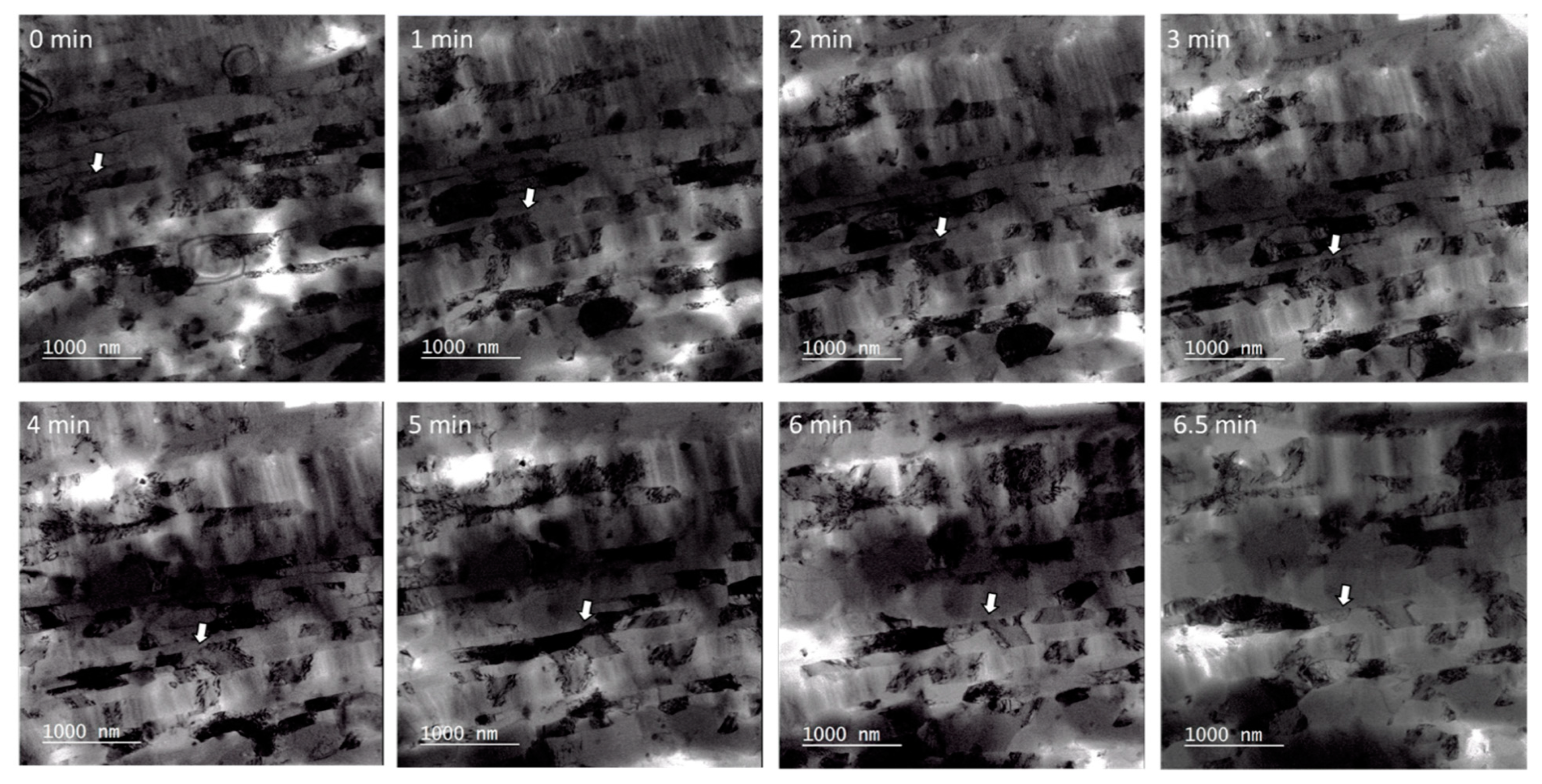 Crystals 09 00172 g005 Crystals 09 00172 g005