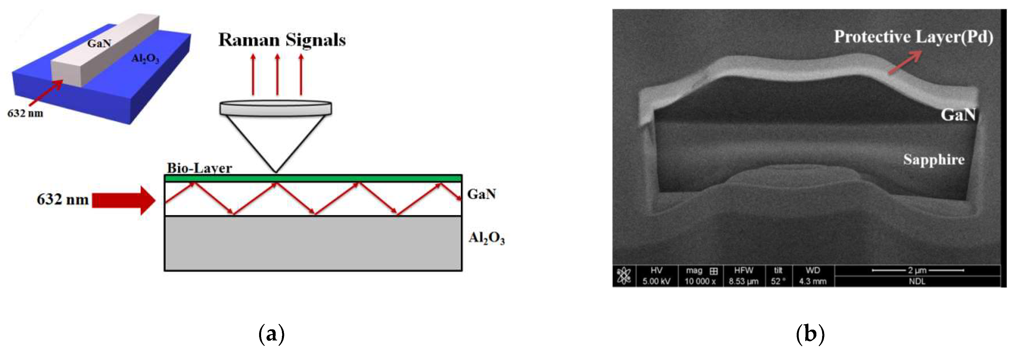 Crystals 09 00176 g008 550