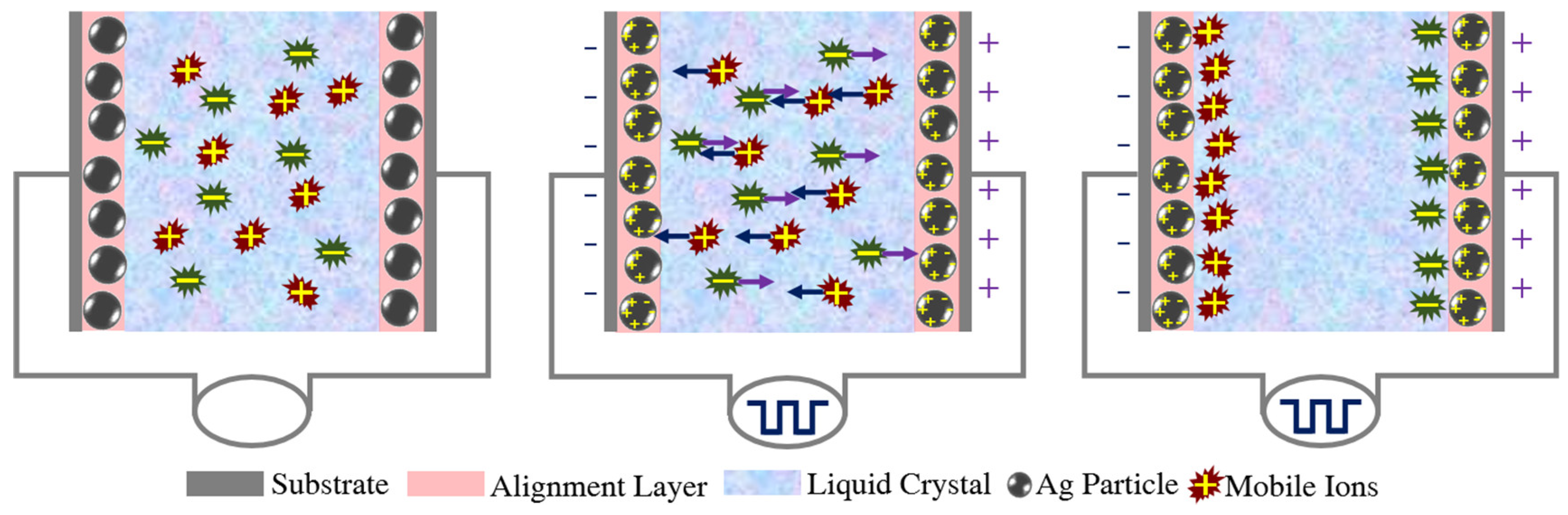 wave and particle behaviors of lcd displays made in china