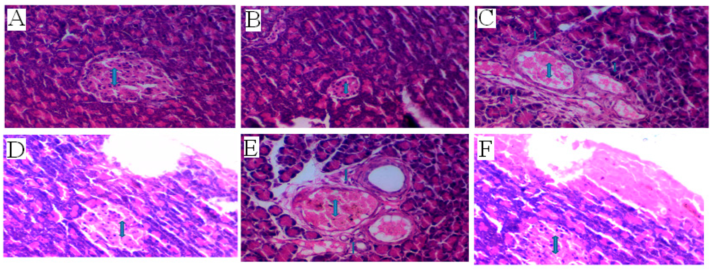 Crystals 09 00208 g007 Crystals 09 00208 g007