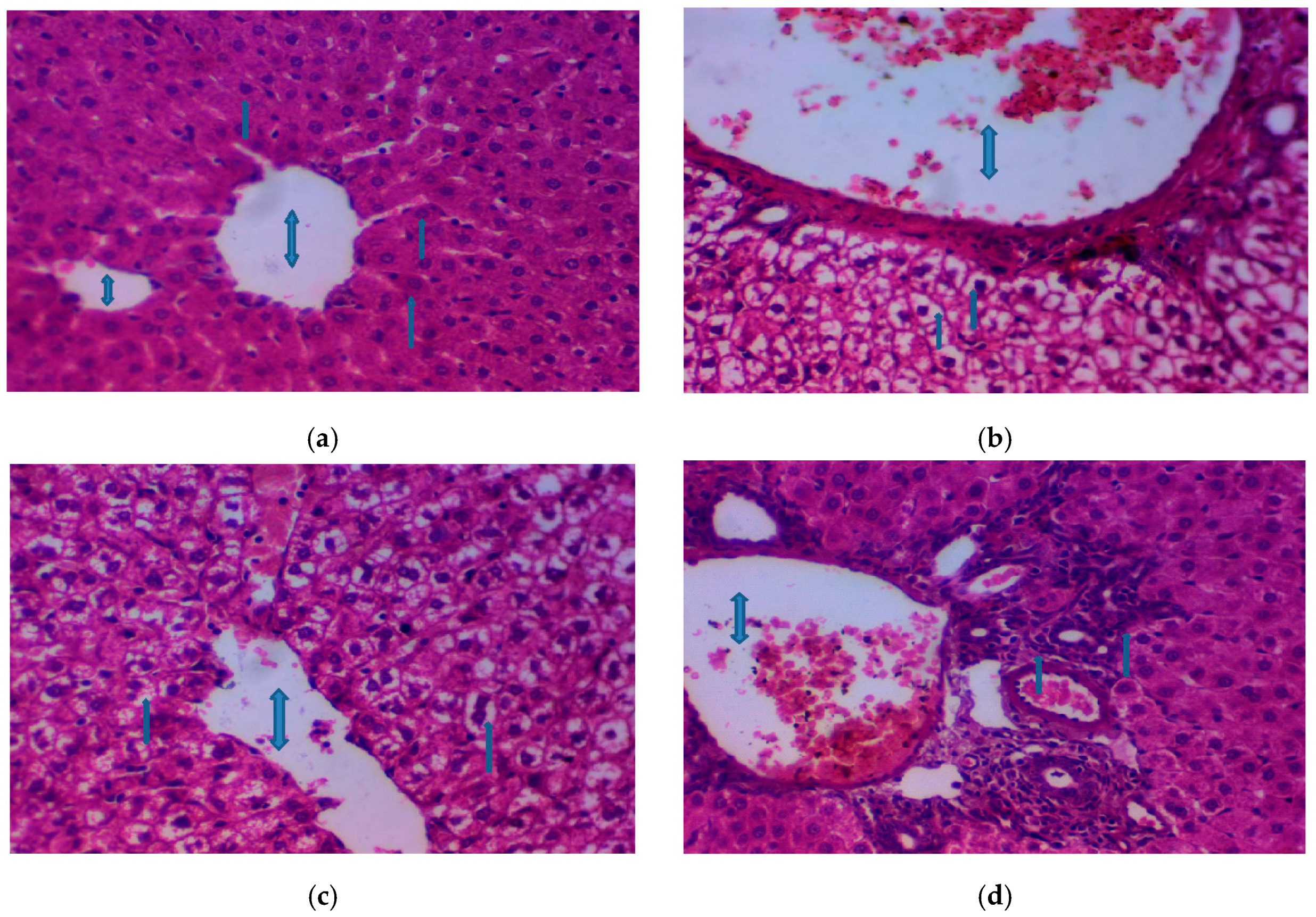 Crystals 09 00208 g008 Crystals 09 00208 g008