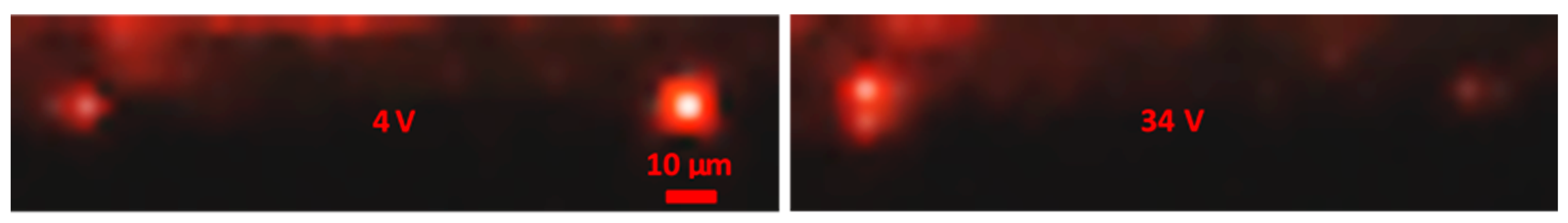 Crystals 09 00225 g006