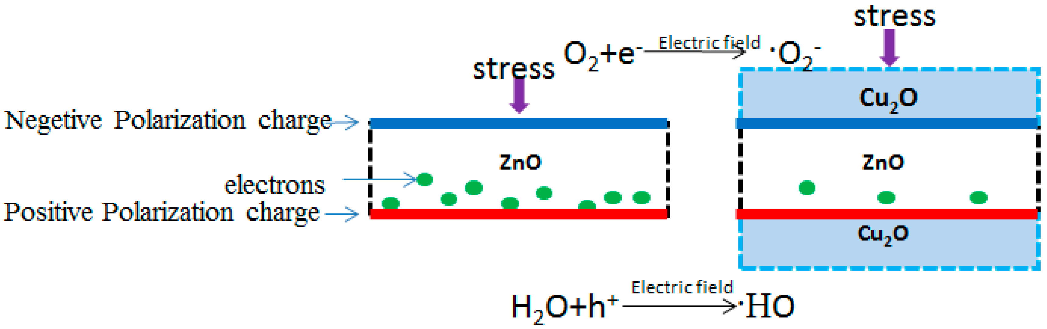 Crystals 09 00229 g008