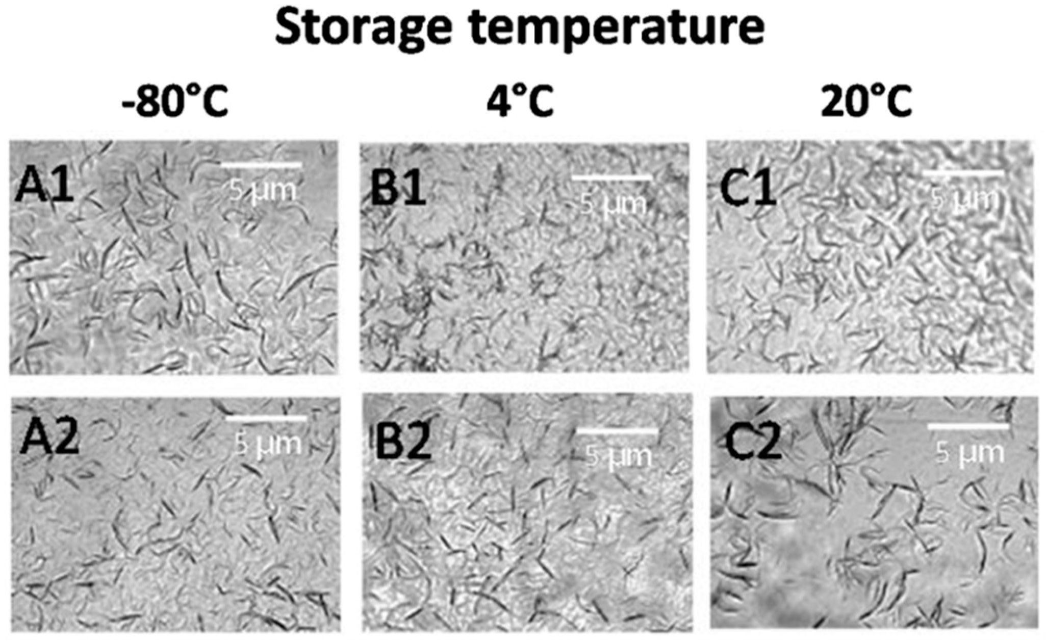 Crystals 09 00230 g005 Crystals 09 00230 g005