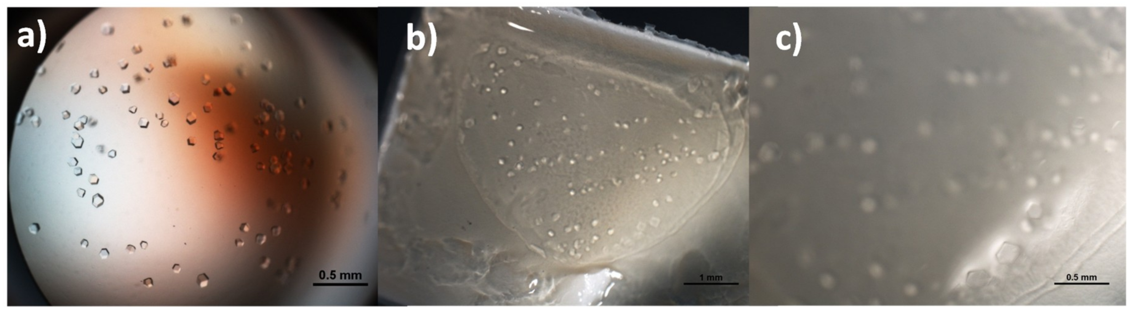 Crystals 09 00253 g002 Crystals 09 00253 g002