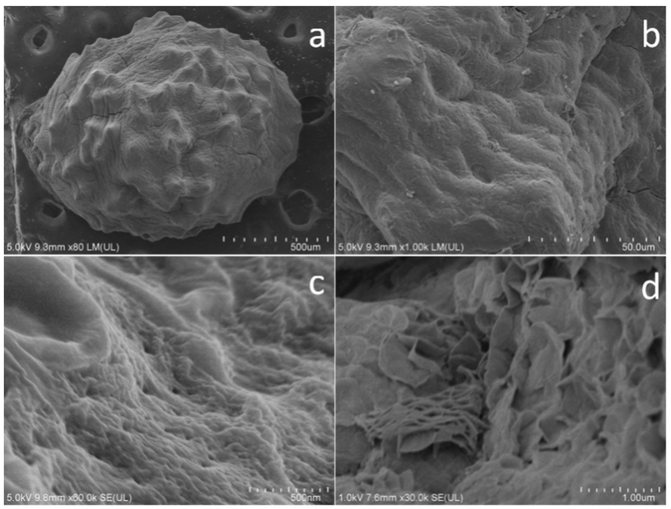 Crystals 09 00255 g001