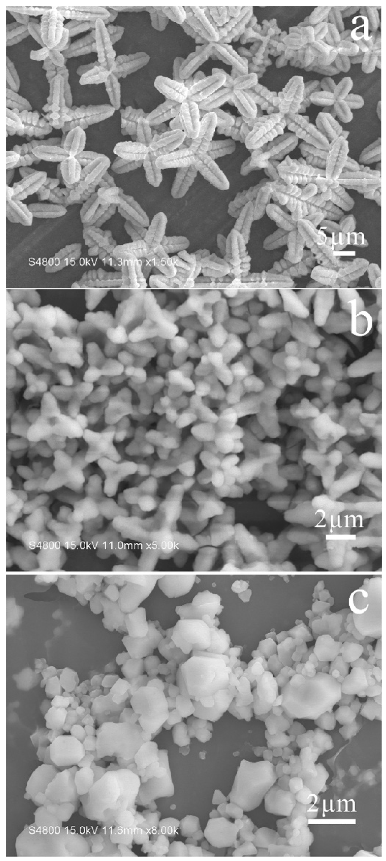 Crystals 09 00258 g004