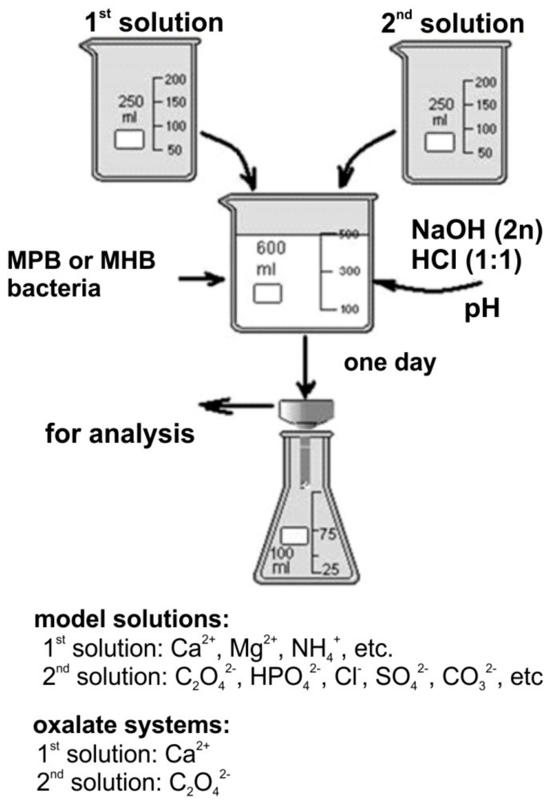 Crystals 09 00259 g002 550
