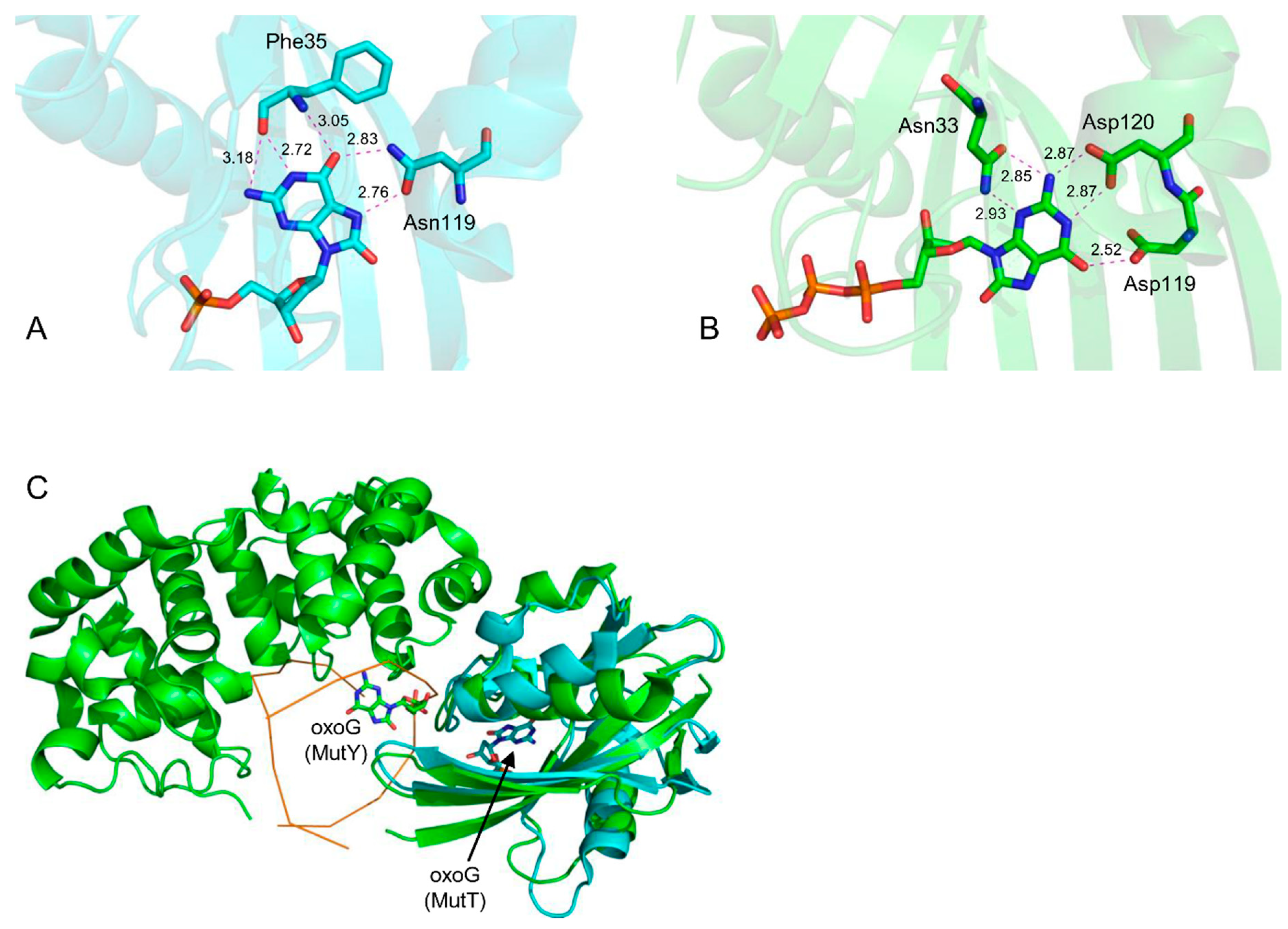Crystals 09 00269 g005 Crystals 09 00269 g005