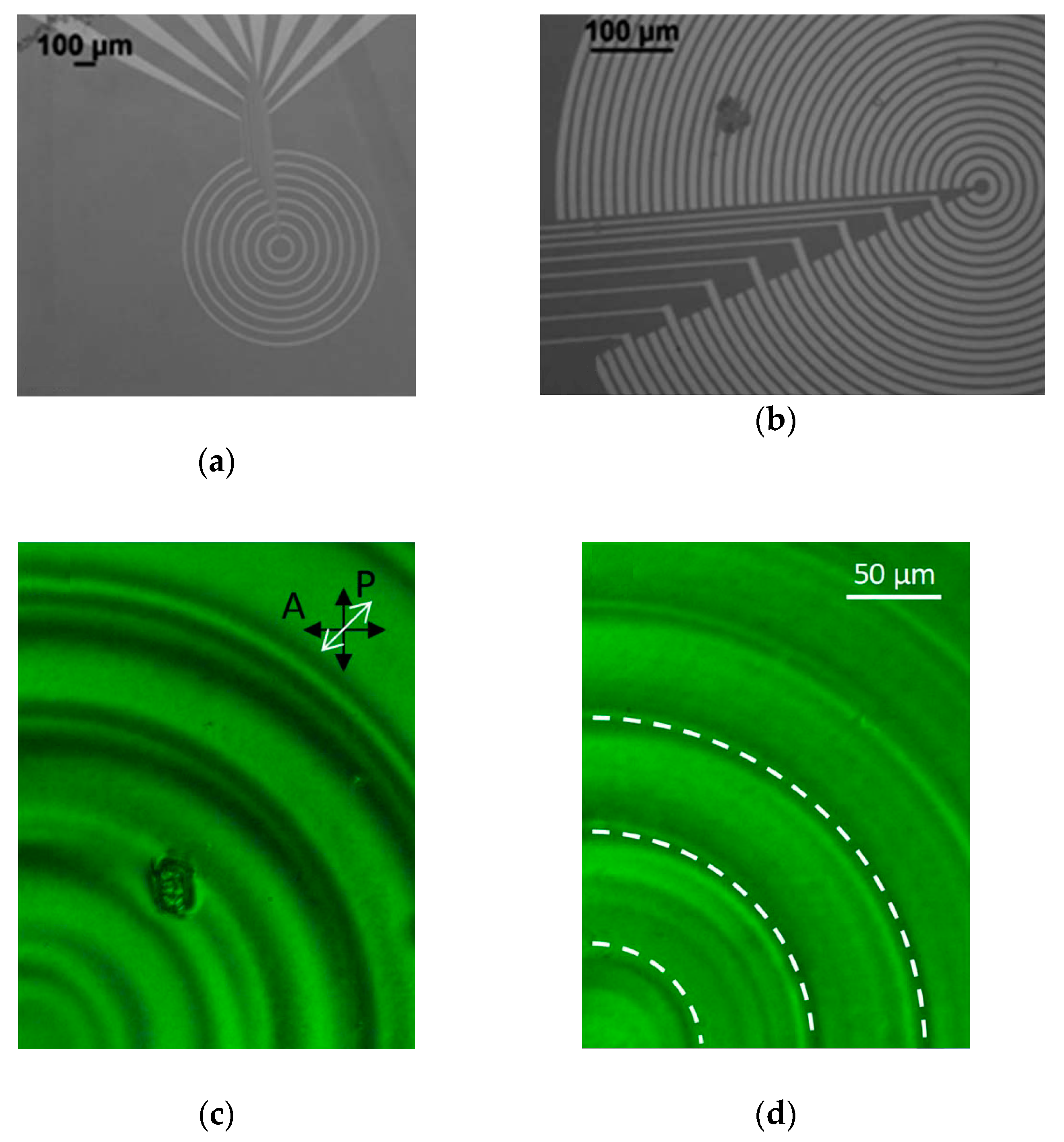 Crystals 09 00272 g008 Crystals 09 00272 g008
