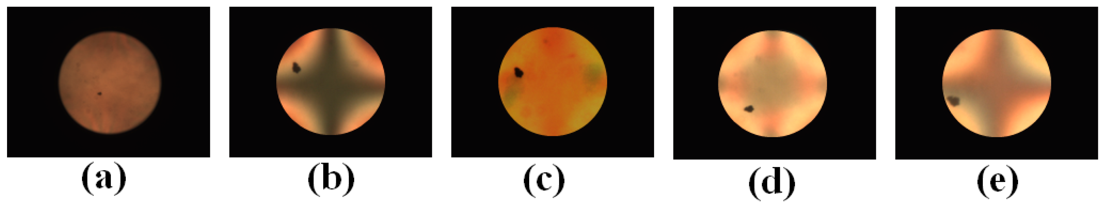 Crystals 09 00281 g008 Crystals 09 00281 g008