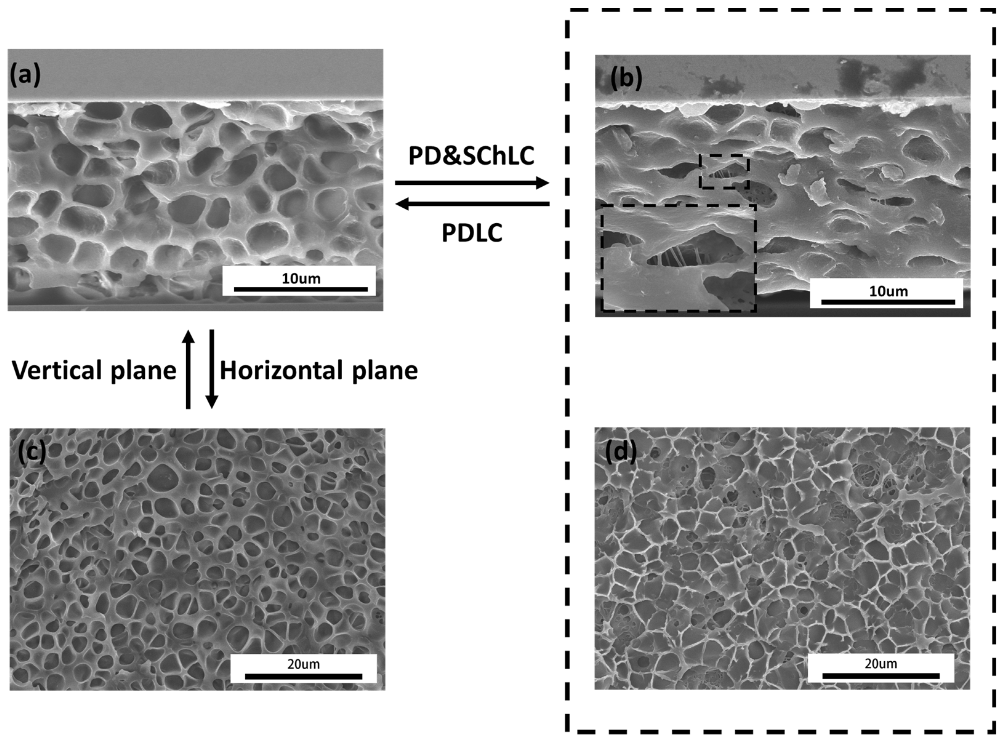 Crystals Free FullText ElectroOptical Properties of a Polymer
