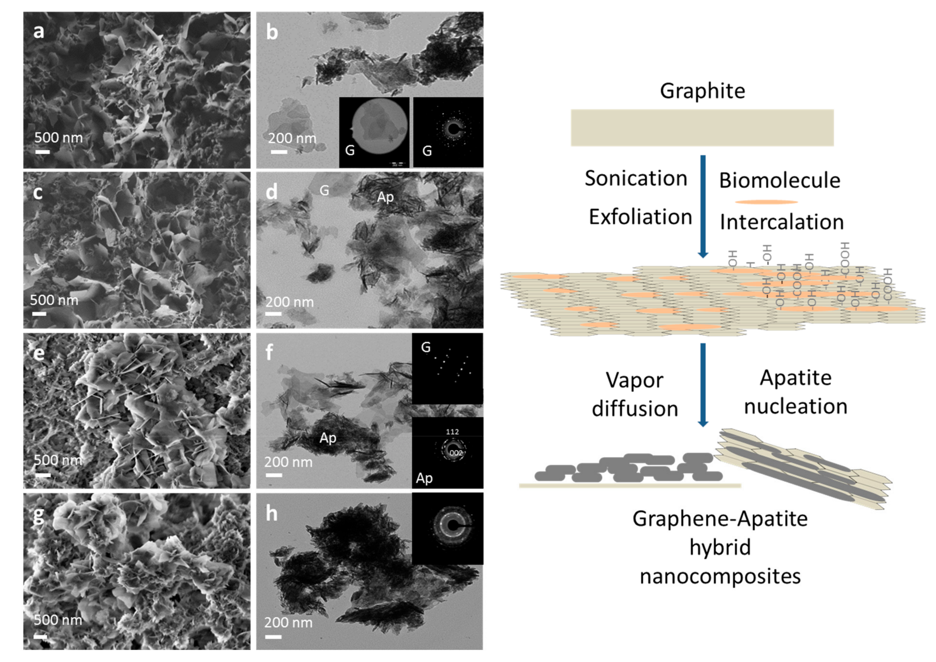 Crystals 09 00341 g004 Crystals 09 00341 g004
