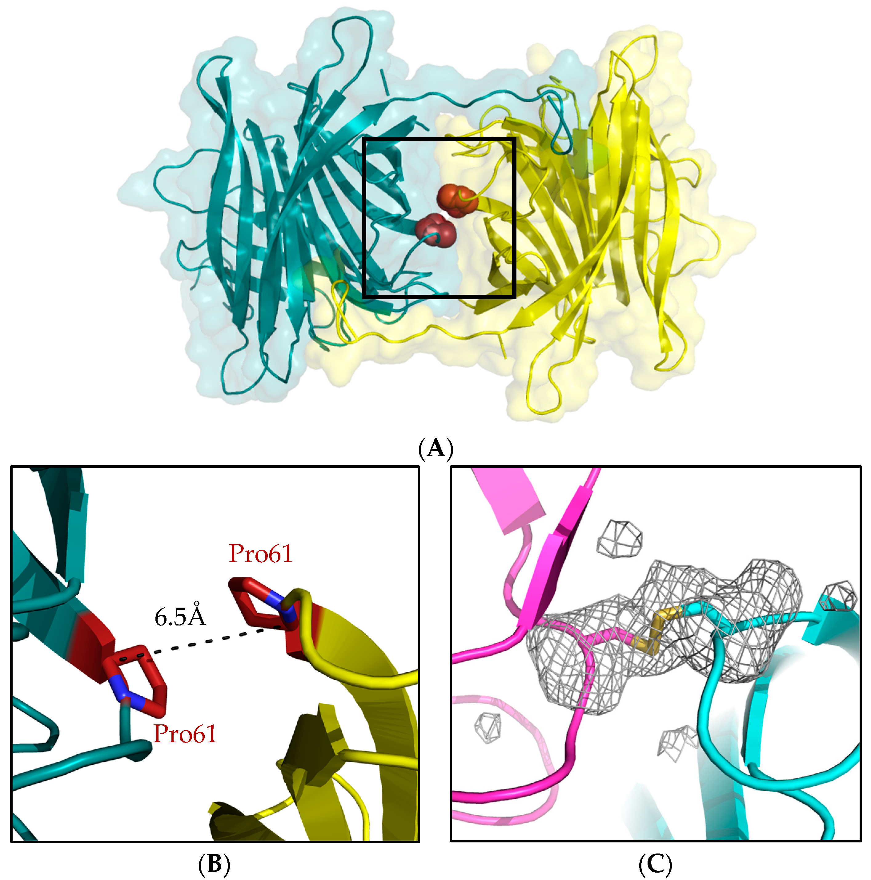 Crystals 09 00353 g003 Crystals 09 00353 g003