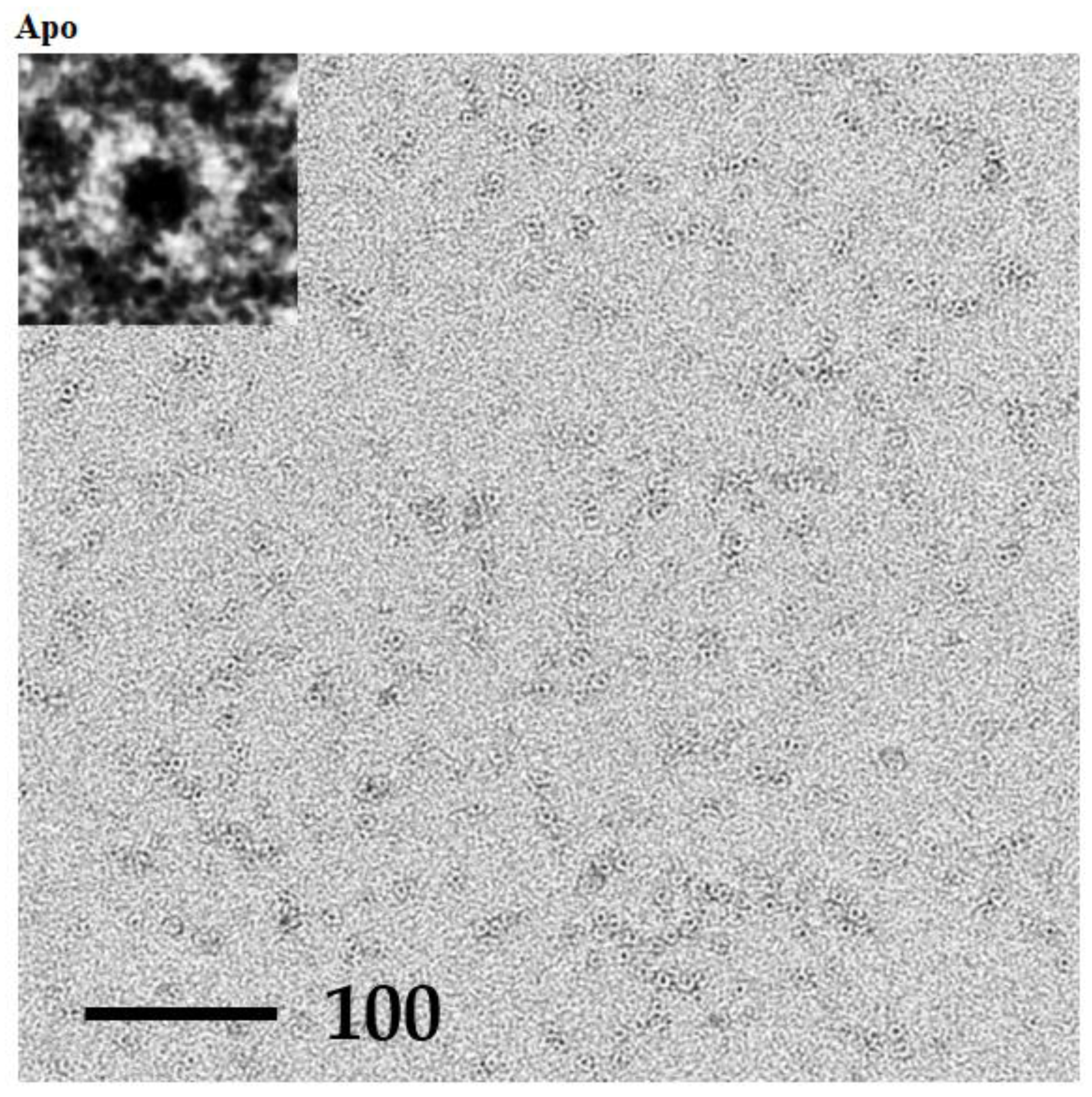 Crystals 09 00353 g006a Crystals 09 00353 g006a