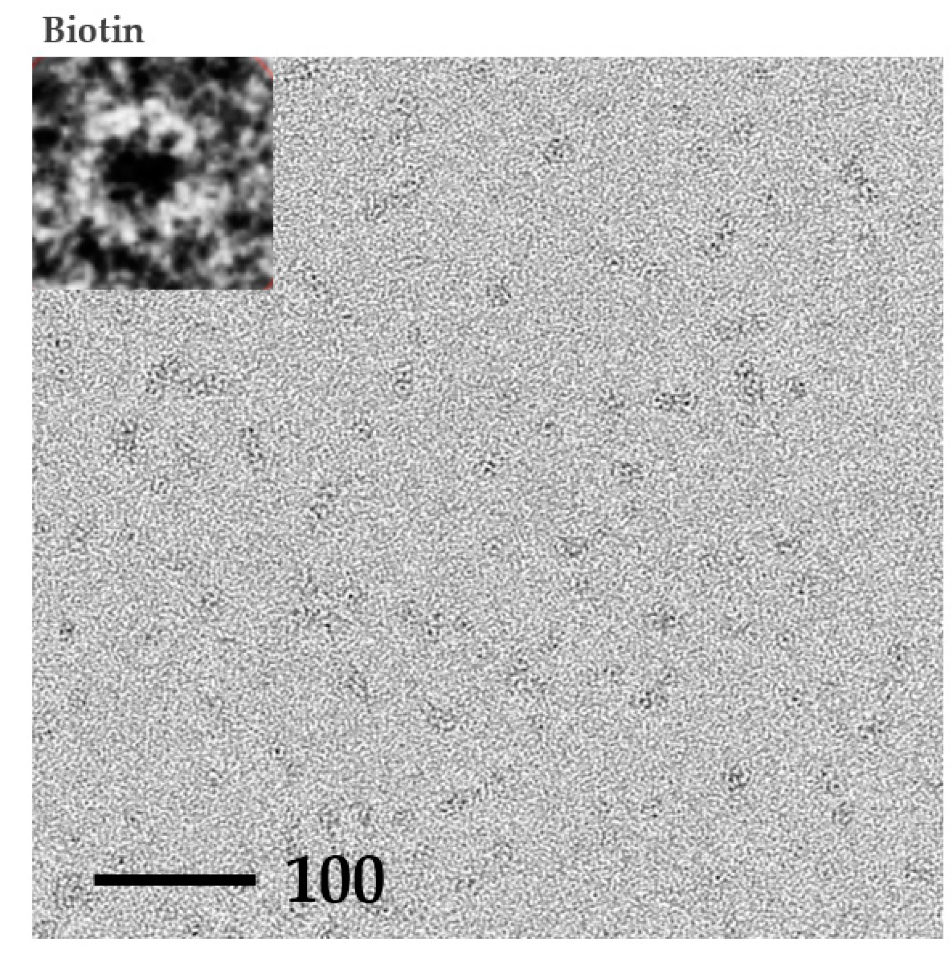 Crystals 09 00353 g006b Crystals 09 00353 g006b