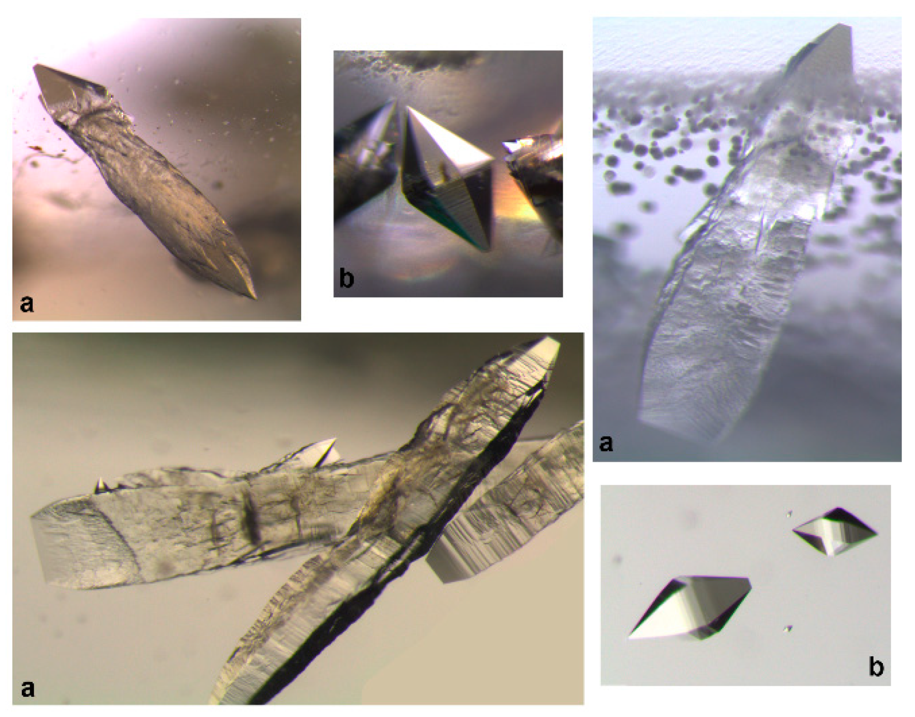 Crystals 09 00363 g004 Crystals 09 00363 g004