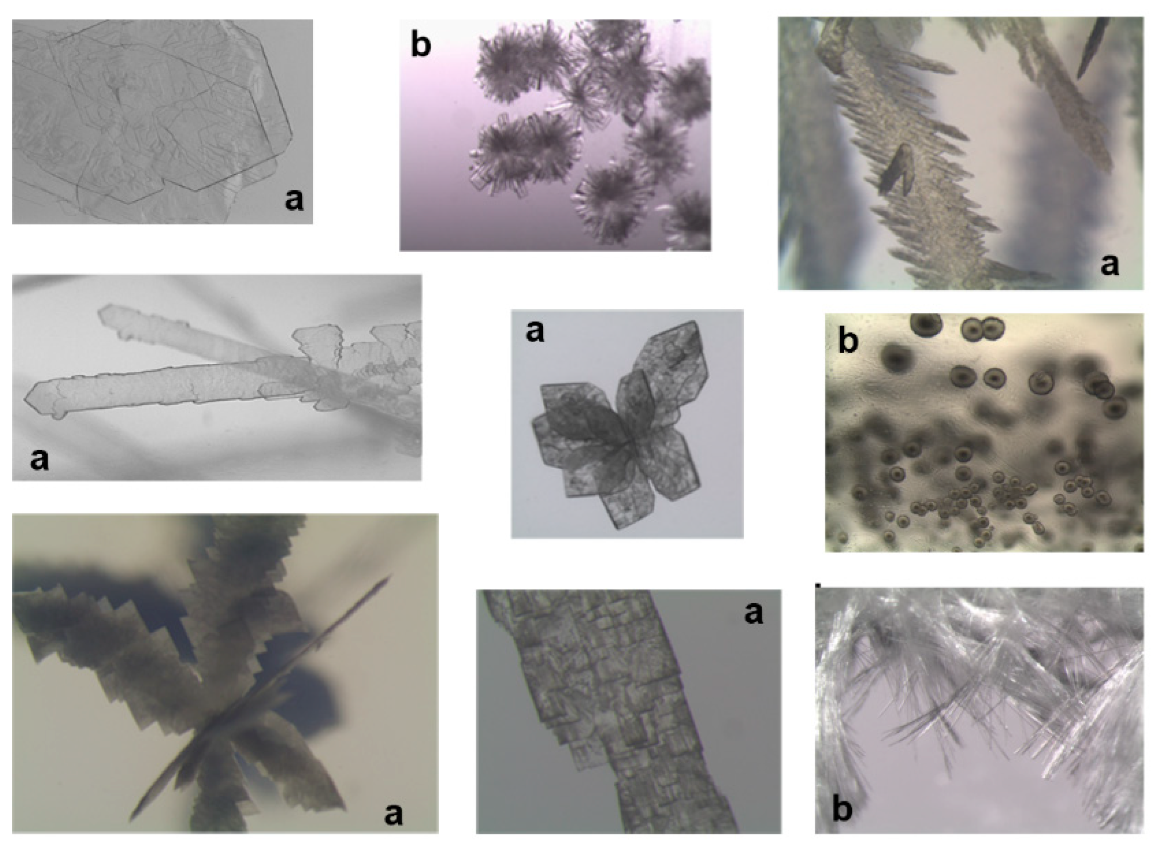 Crystals 09 00363 g005 Crystals 09 00363 g005