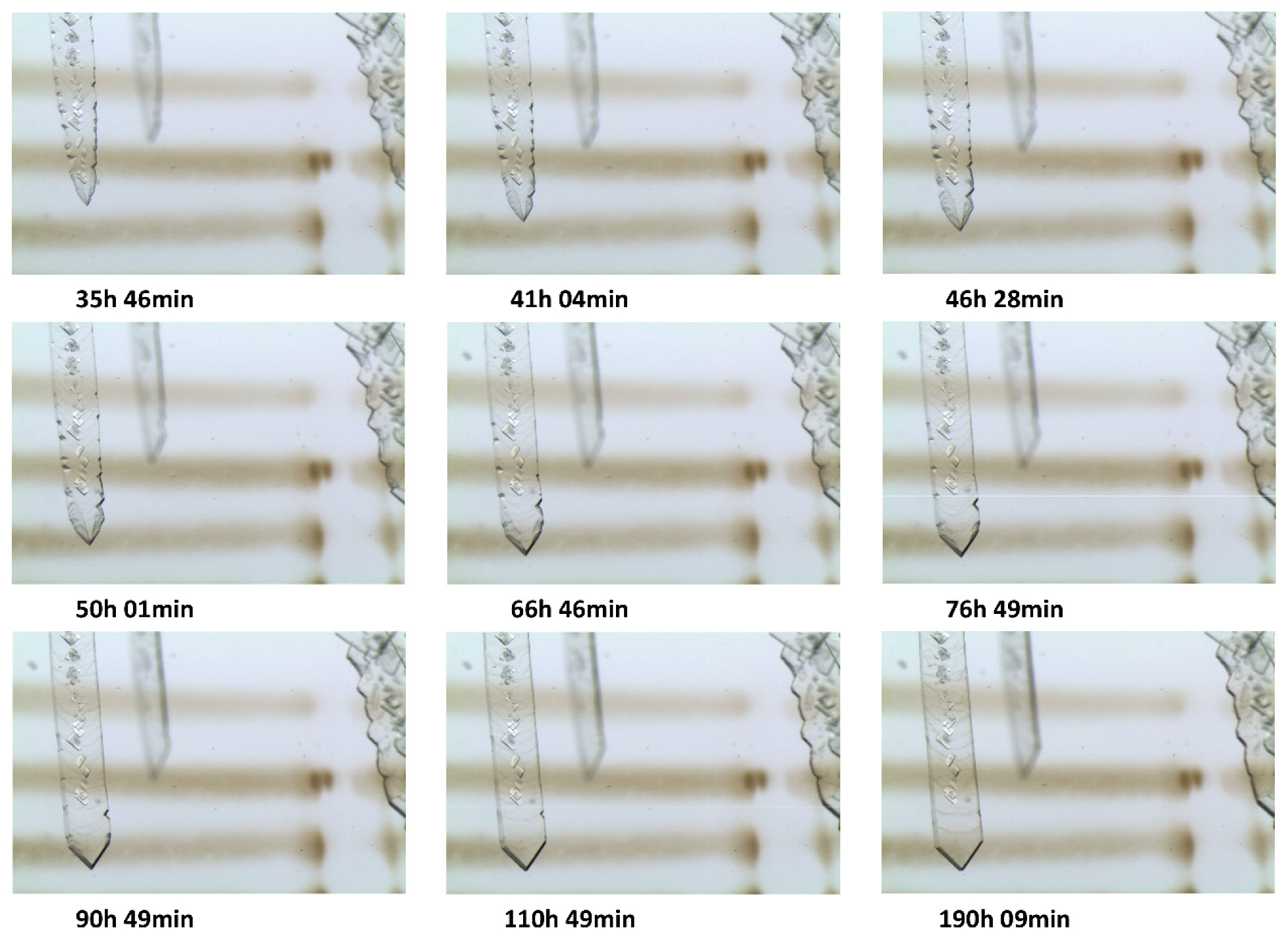 Crystals 09 00363 g010 Crystals 09 00363 g010