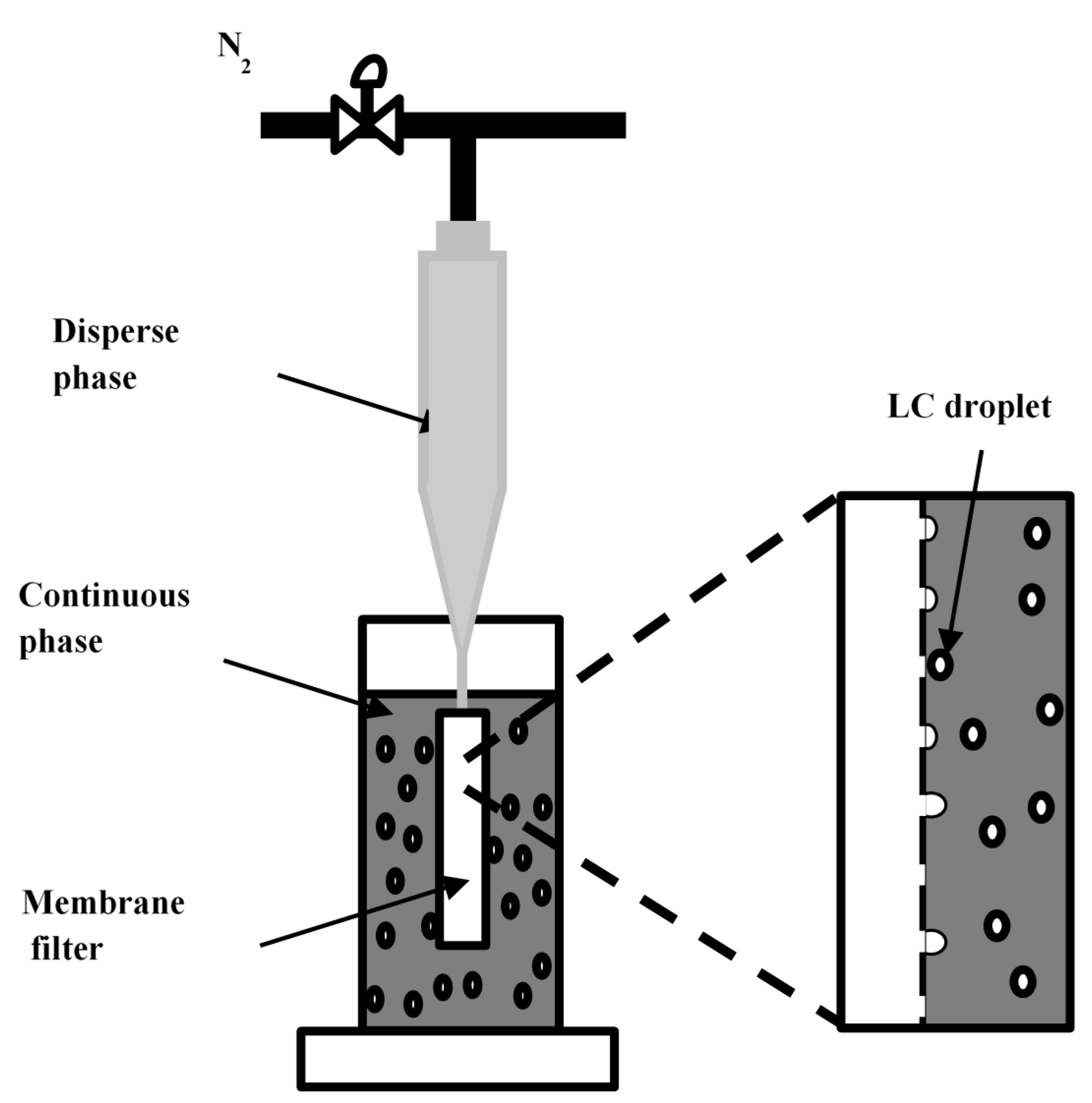 Crystals 09 00364 g001
