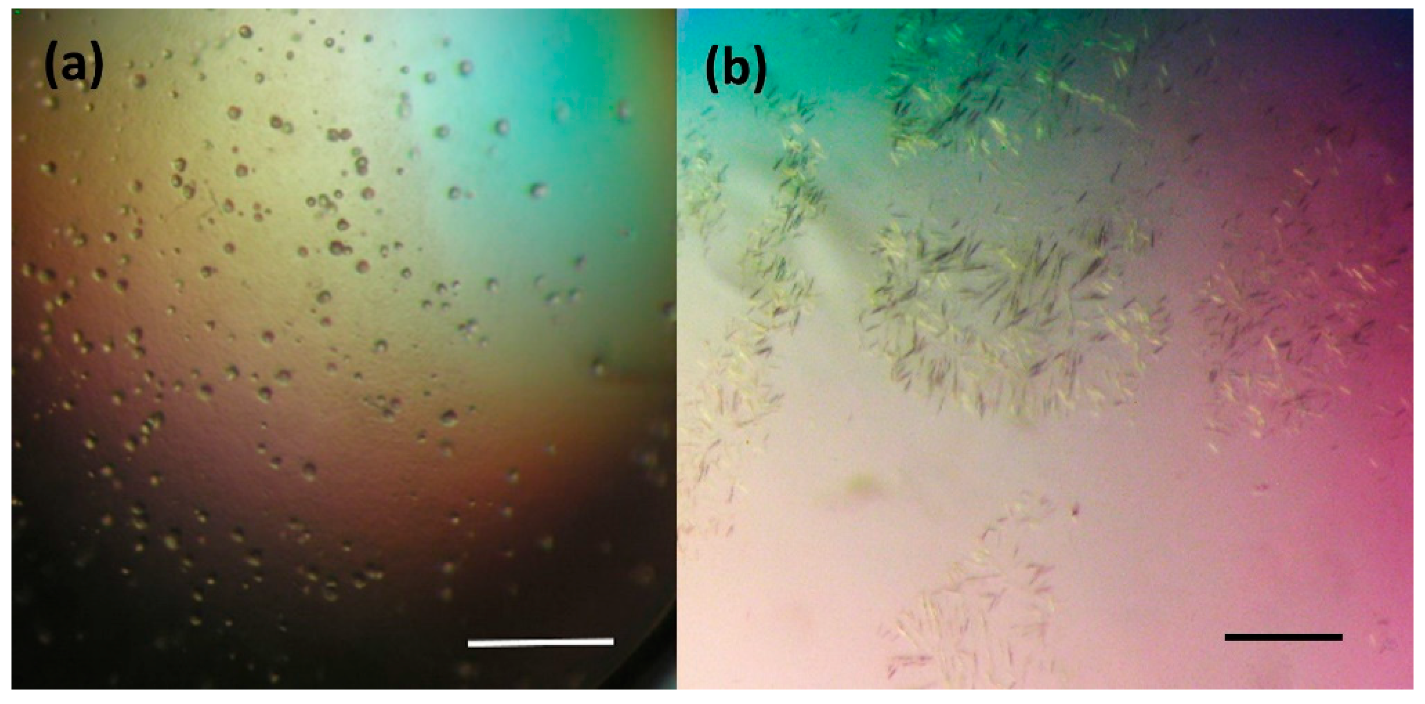 Crystals 09 00375 g001