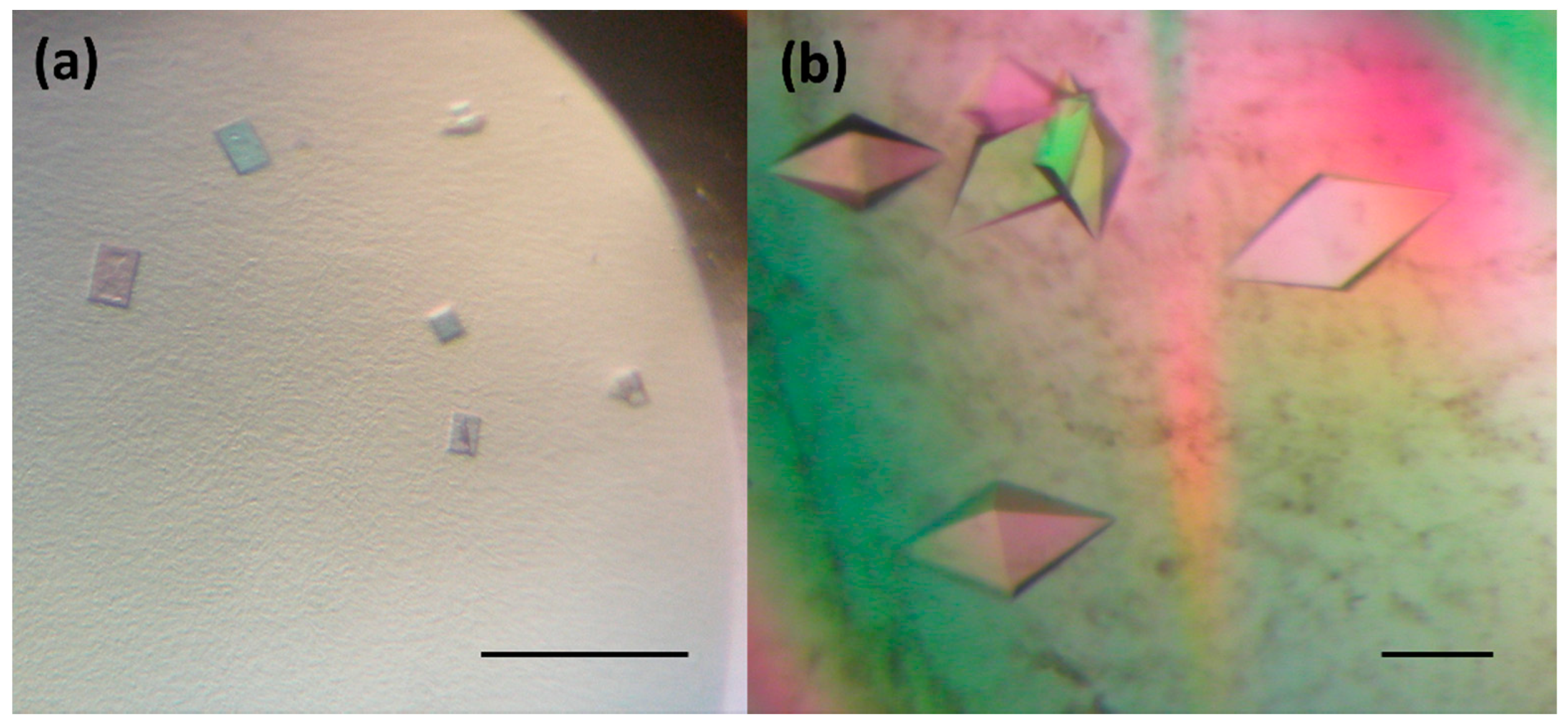 Crystals 09 00375 g002