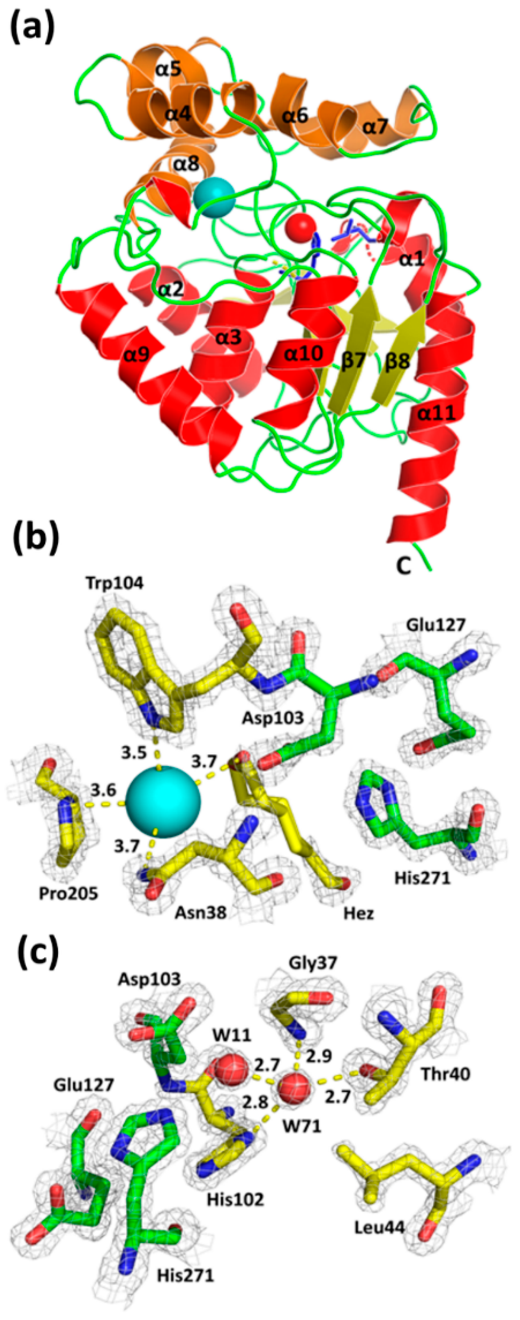 Crystals 09 00375 g003