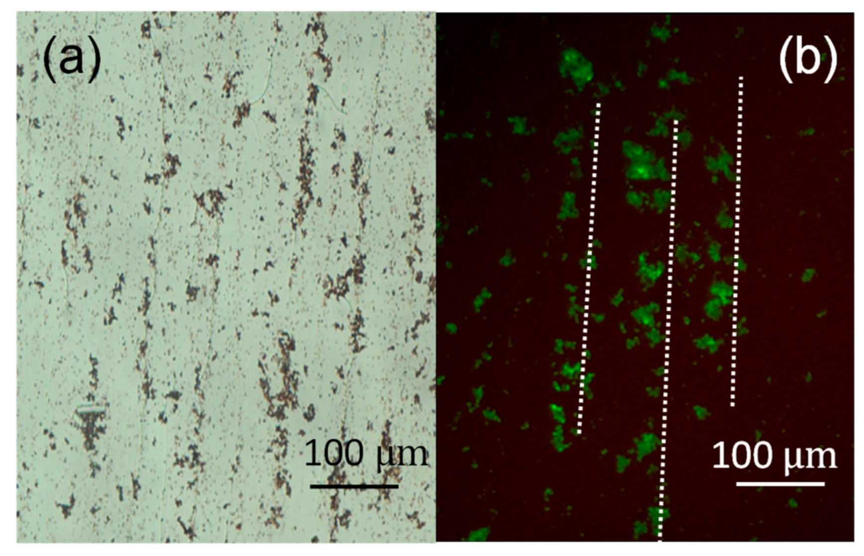 Crystals 09 00378 g002 Crystals 09 00378 g002