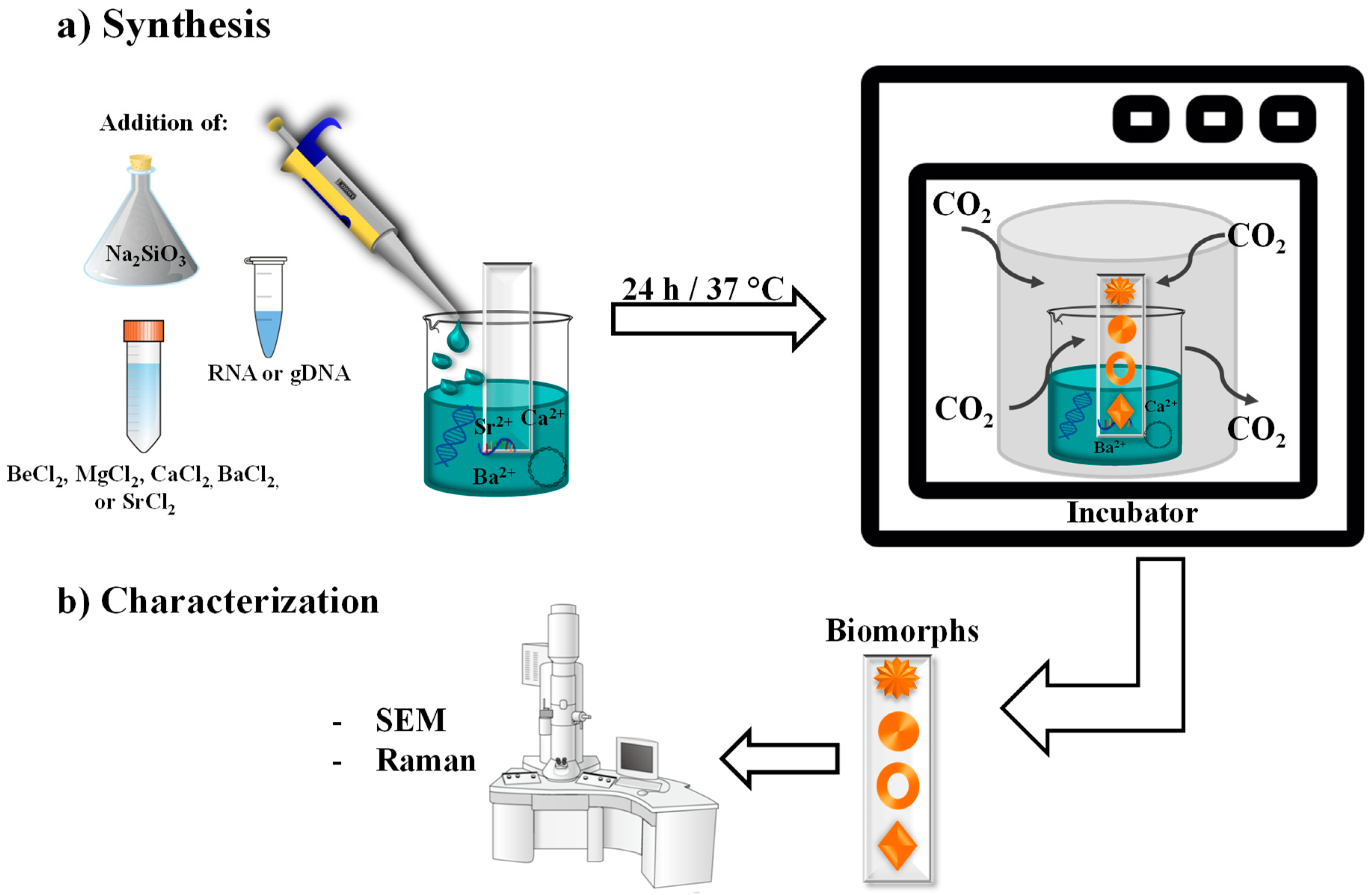 Crystals 09 00381 g001 Crystals 09 00381 g001