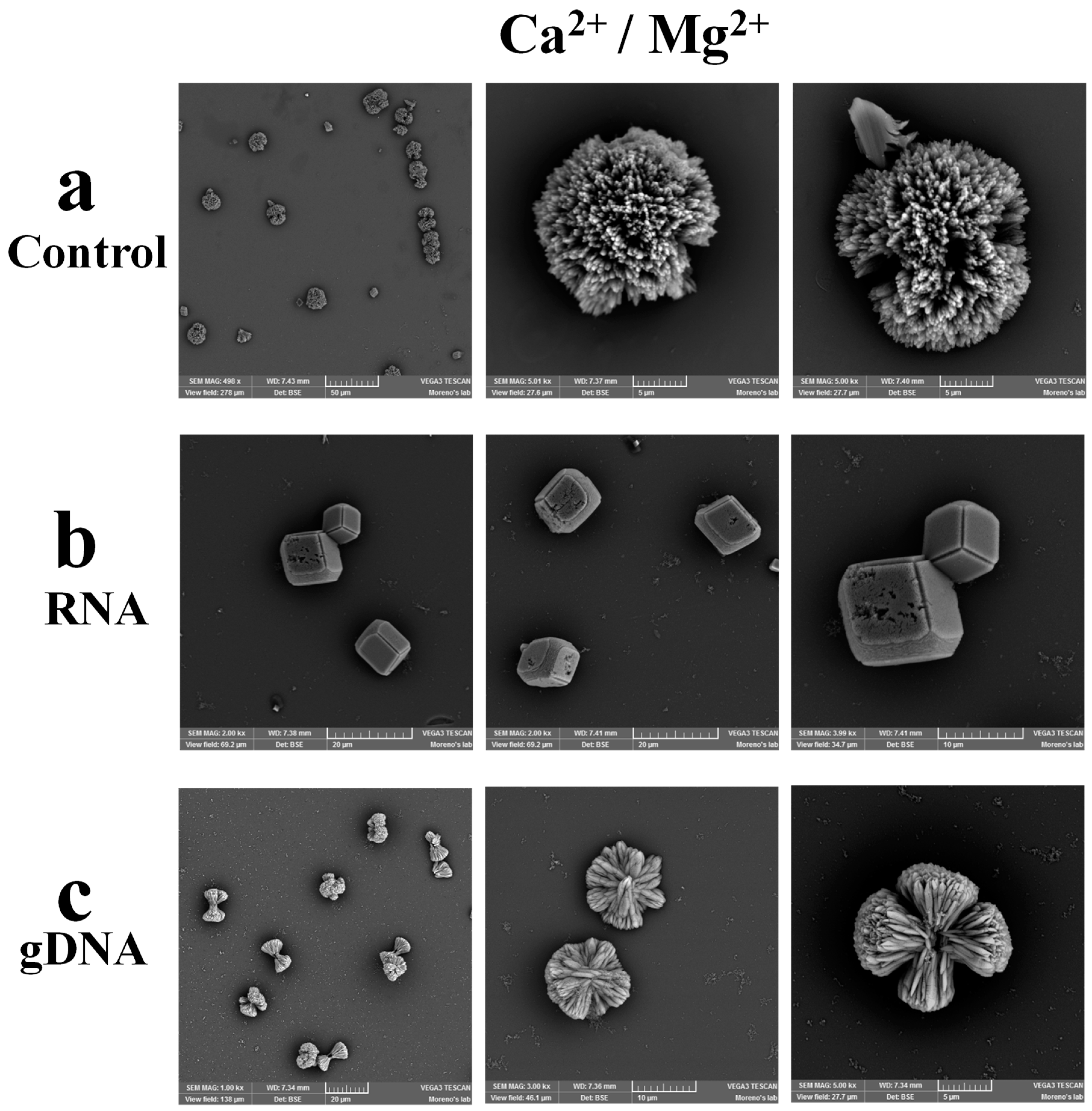 Crystals 09 00381 g002 Crystals 09 00381 g002