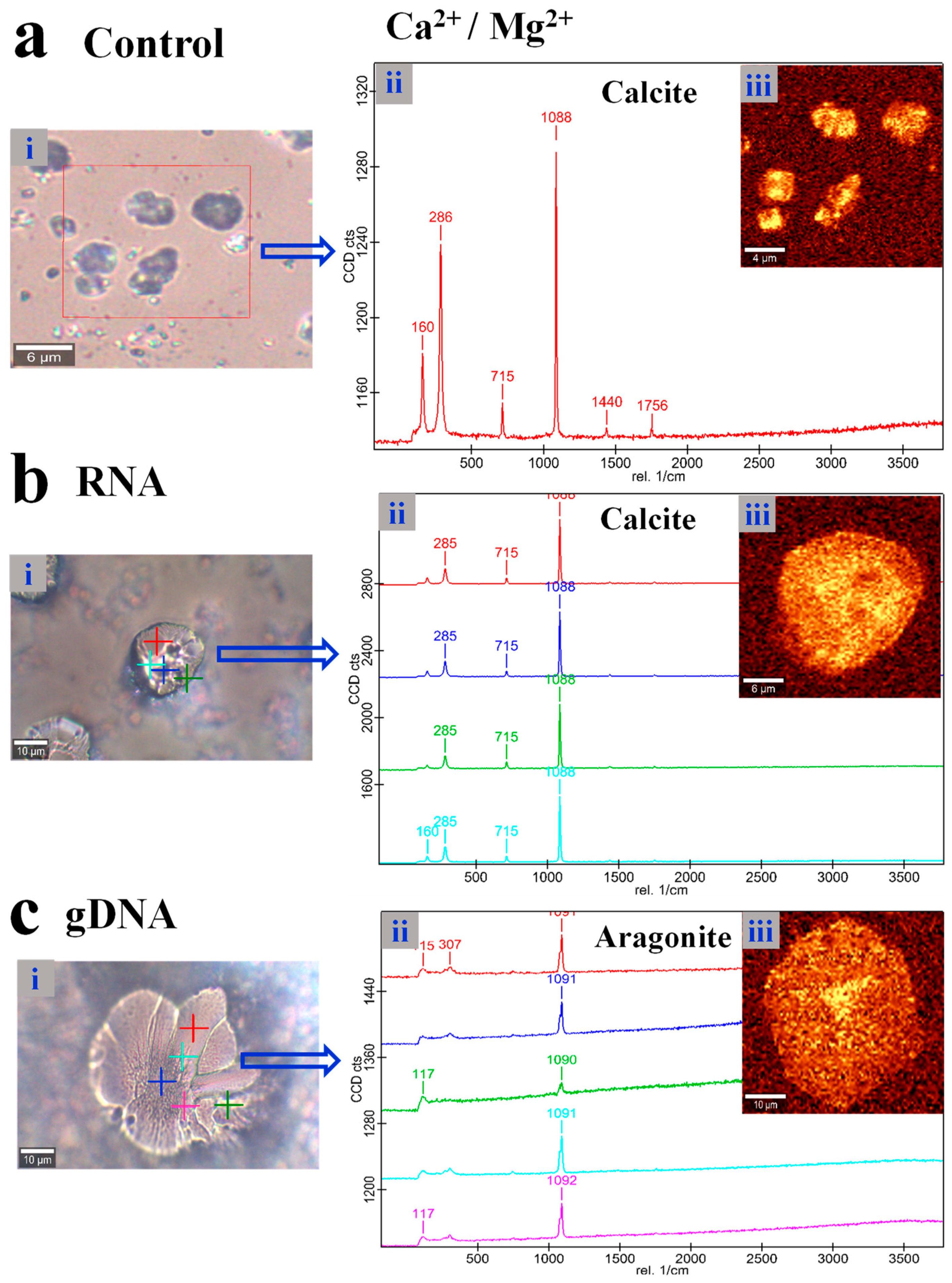 Crystals 09 00381 g003 Crystals 09 00381 g003