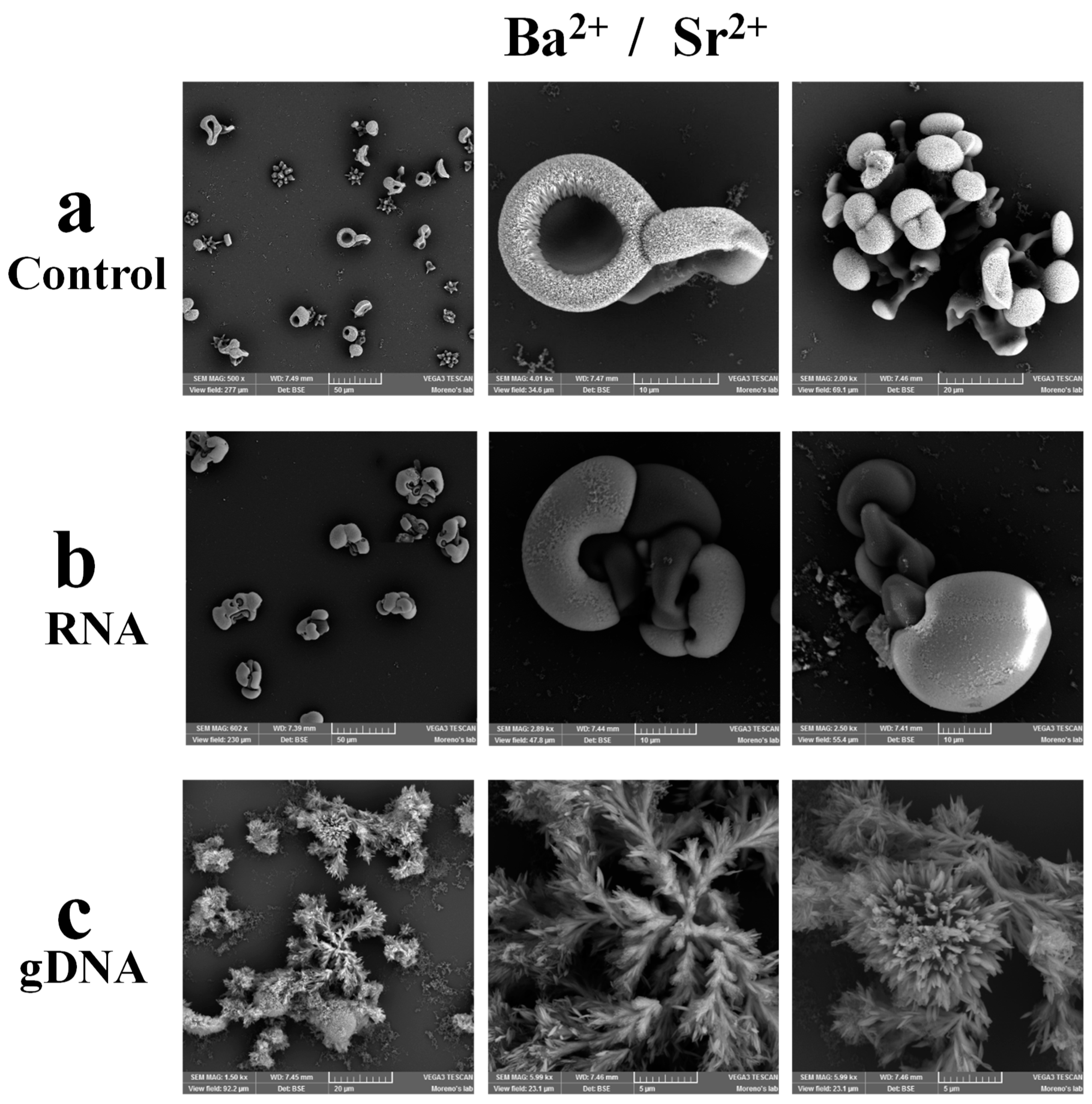 Crystals 09 00381 g004 Crystals 09 00381 g004