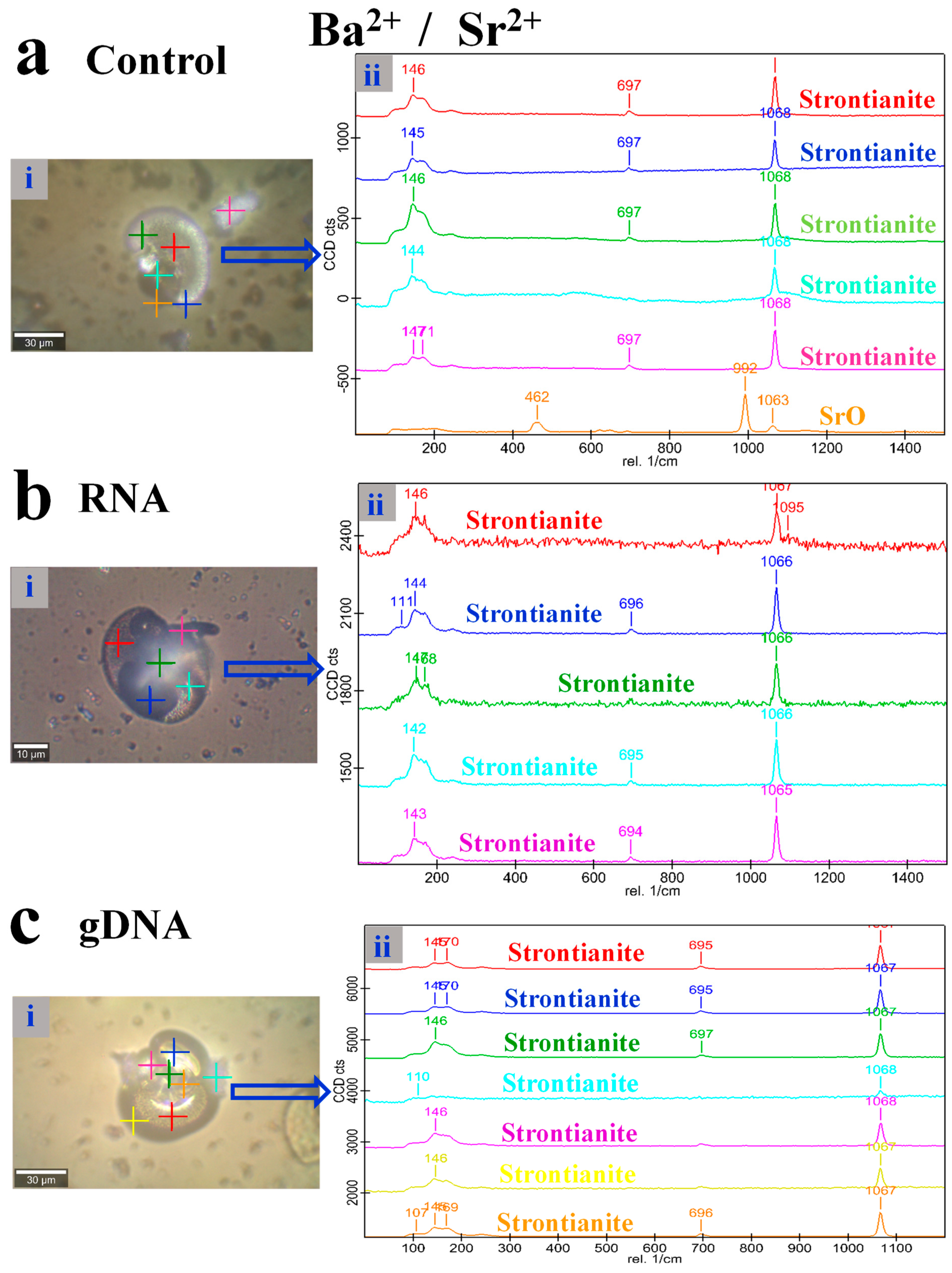 Crystals 09 00381 g005 Crystals 09 00381 g005