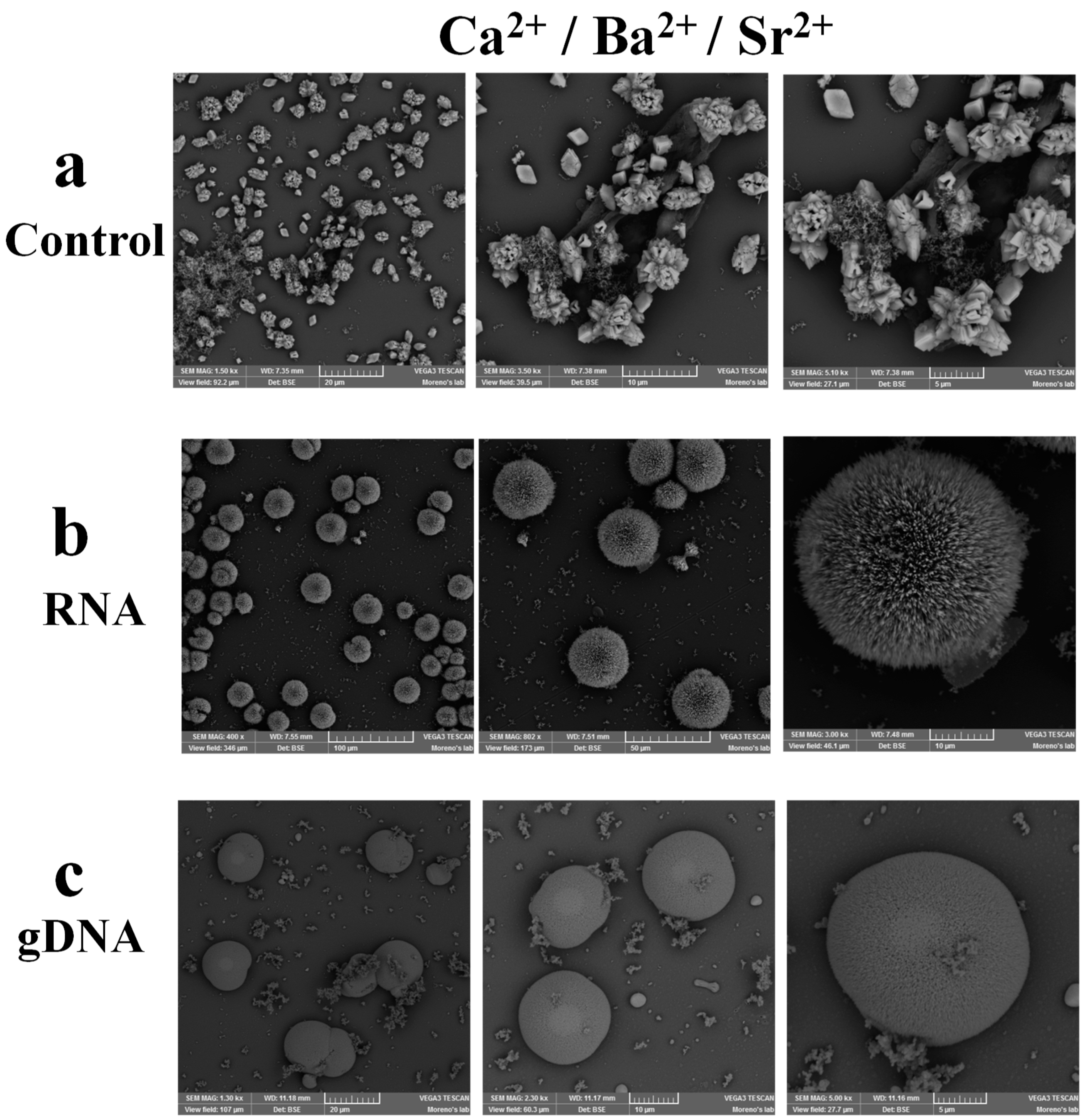 Crystals 09 00381 g006 Crystals 09 00381 g006