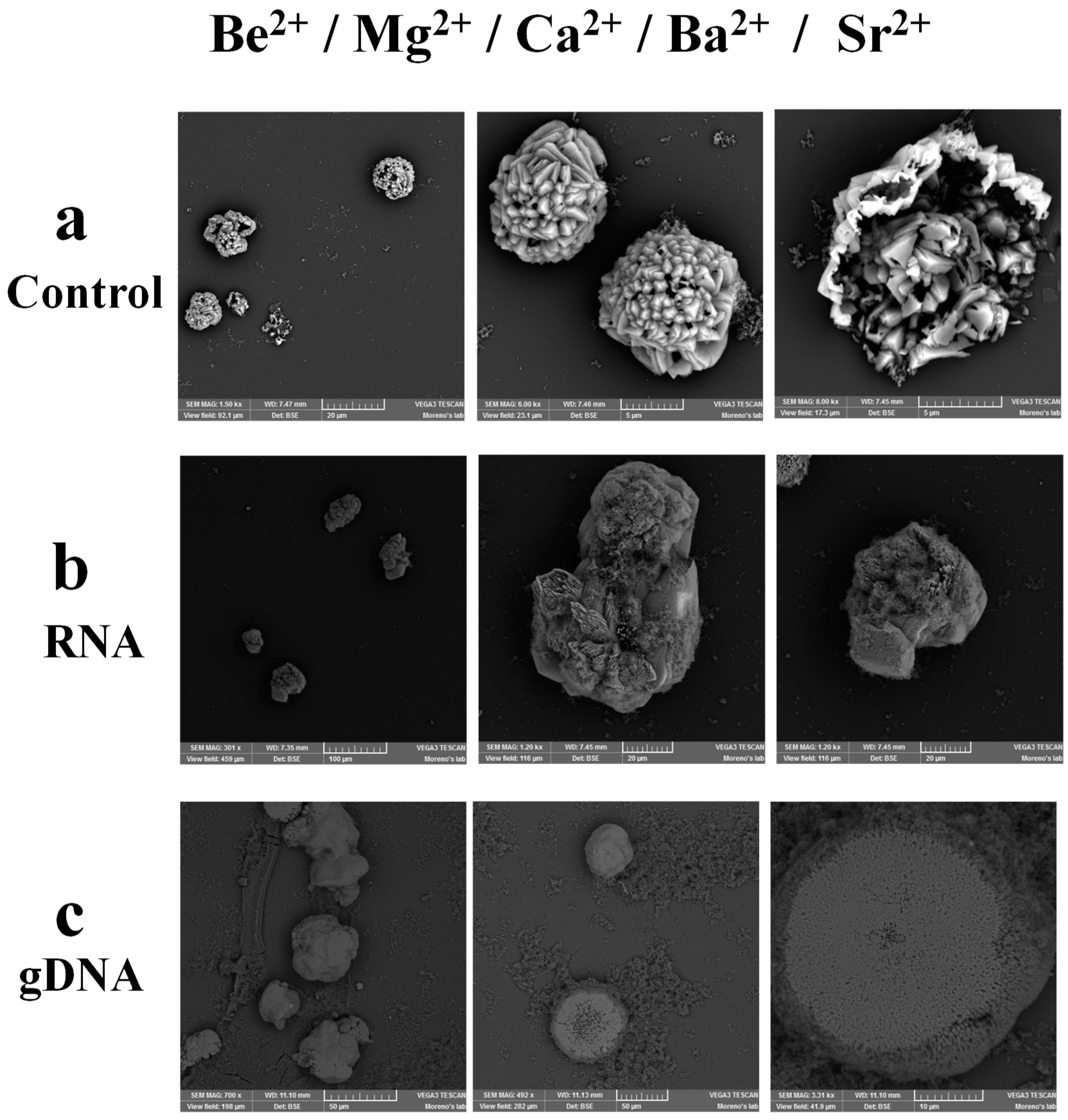 Crystals 09 00381 g008 Crystals 09 00381 g008