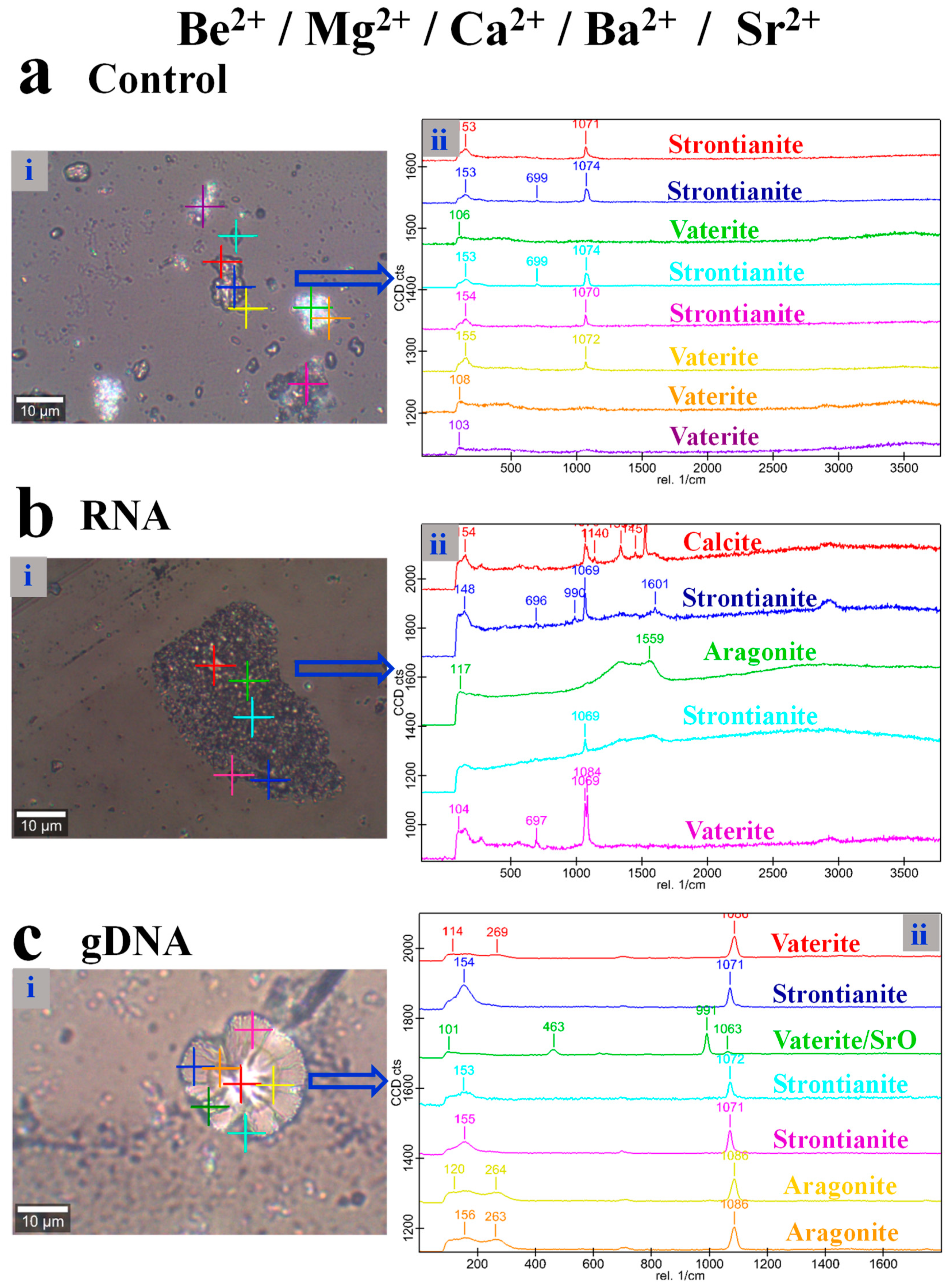Crystals 09 00381 g009 Crystals 09 00381 g009
