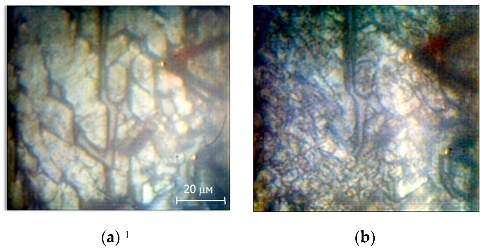 Crystals 09 00390 g002