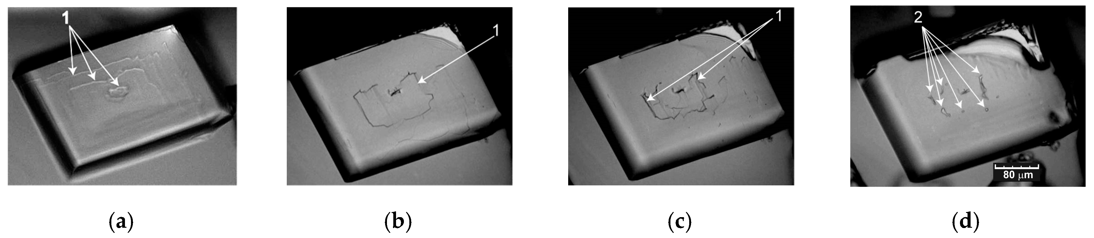 Crystals 09 00390 g013