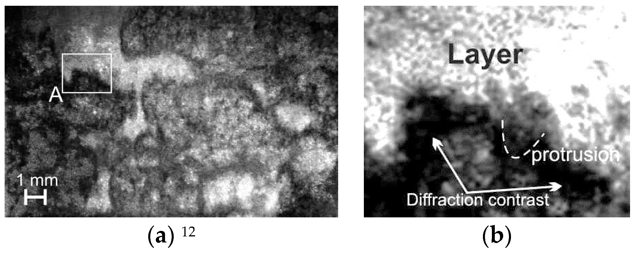 Crystals 09 00390 g014