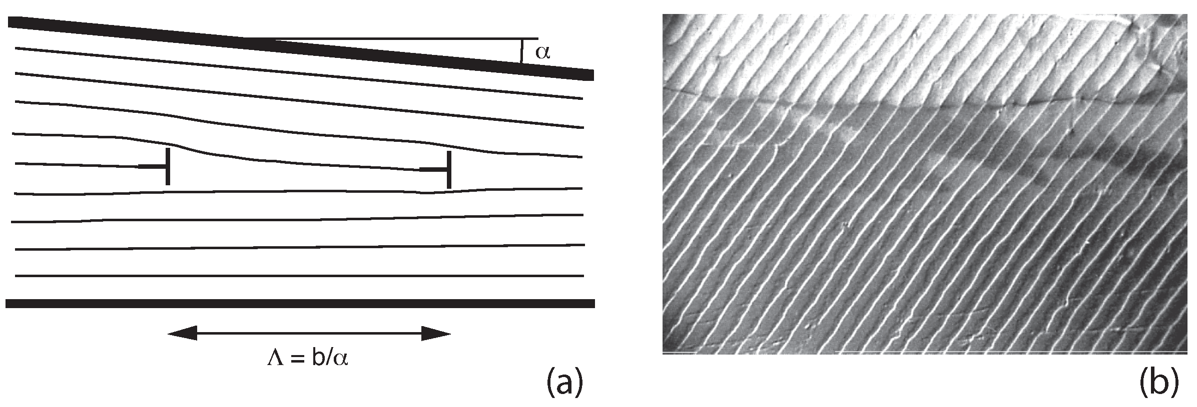 Crystals 09 00400 g011
