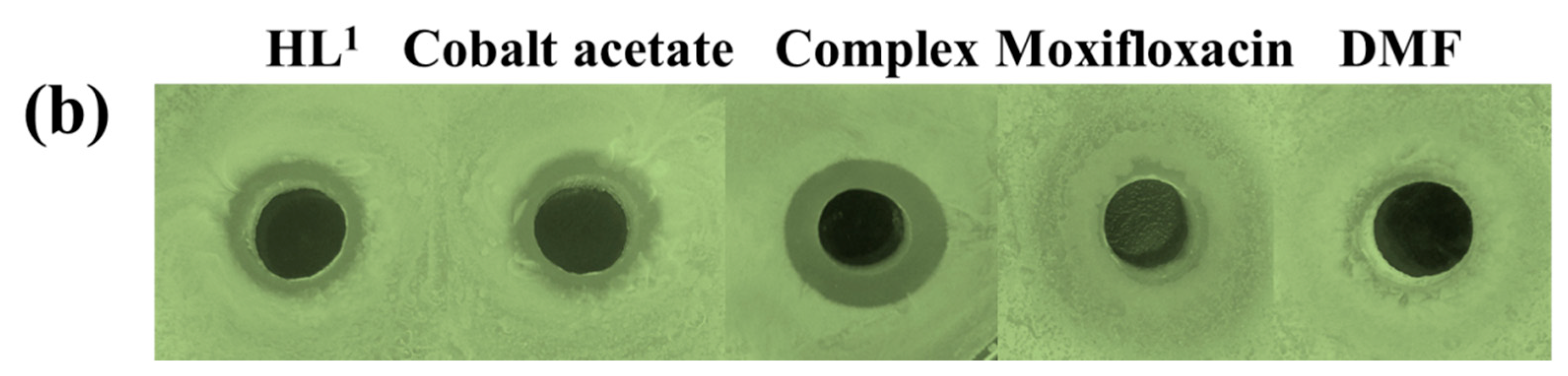 Crystals 09 00408 g009b