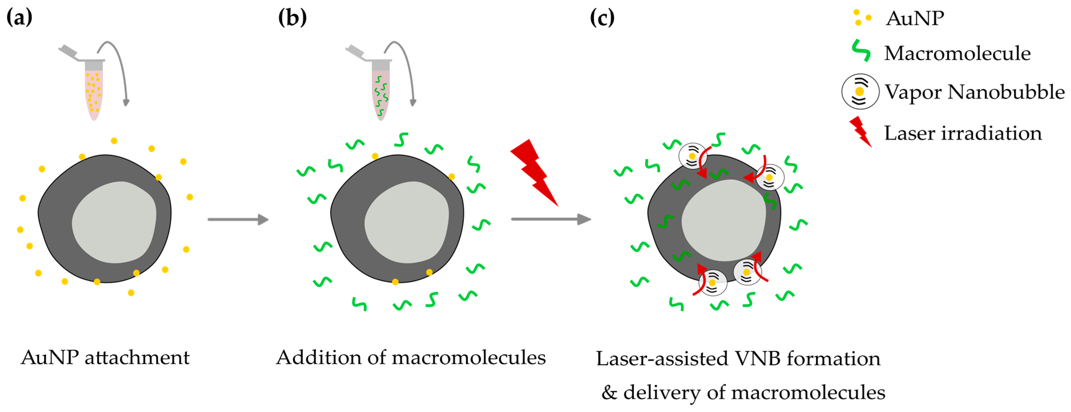 Crystals 09 00411 g001