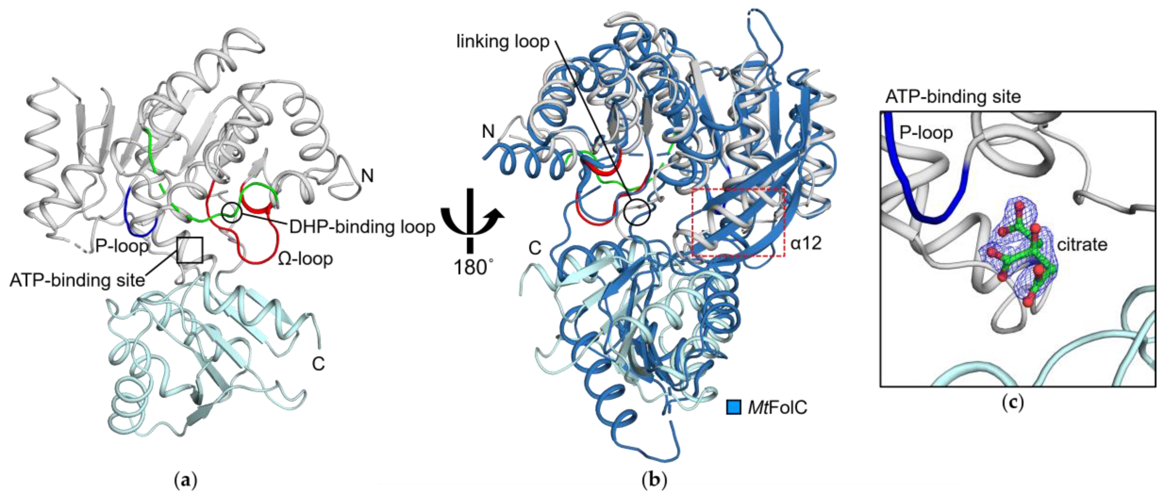 Crystals 09 00429 g002